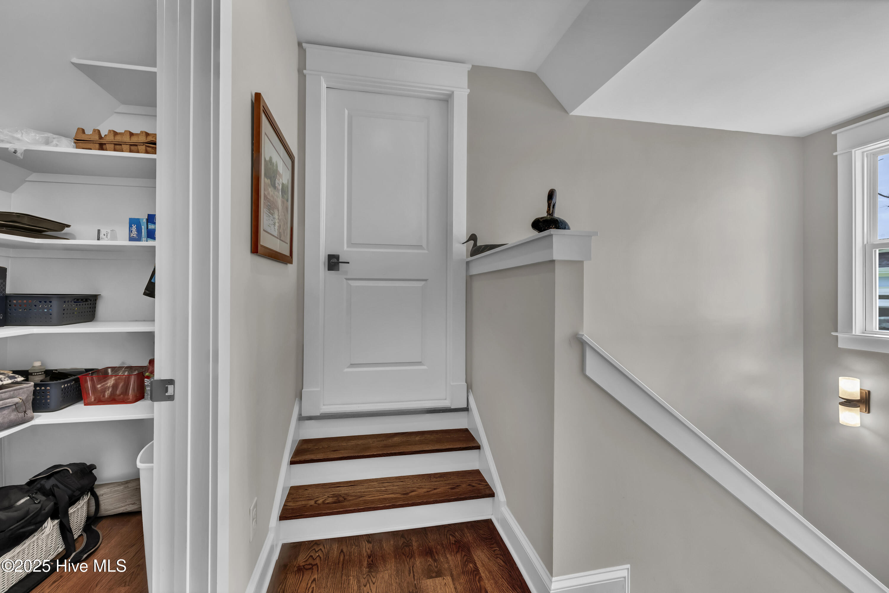 100537011 | Photo 50