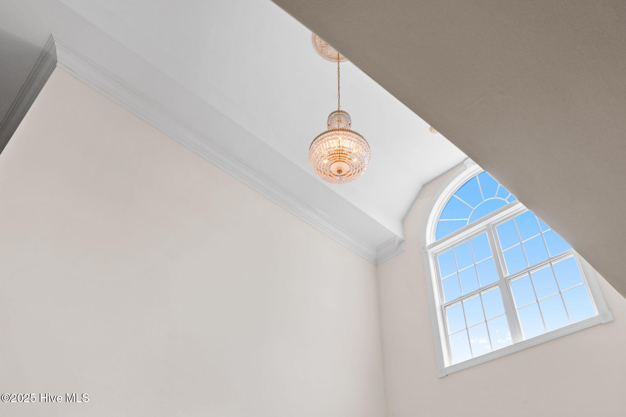 100522413 | Photo 41