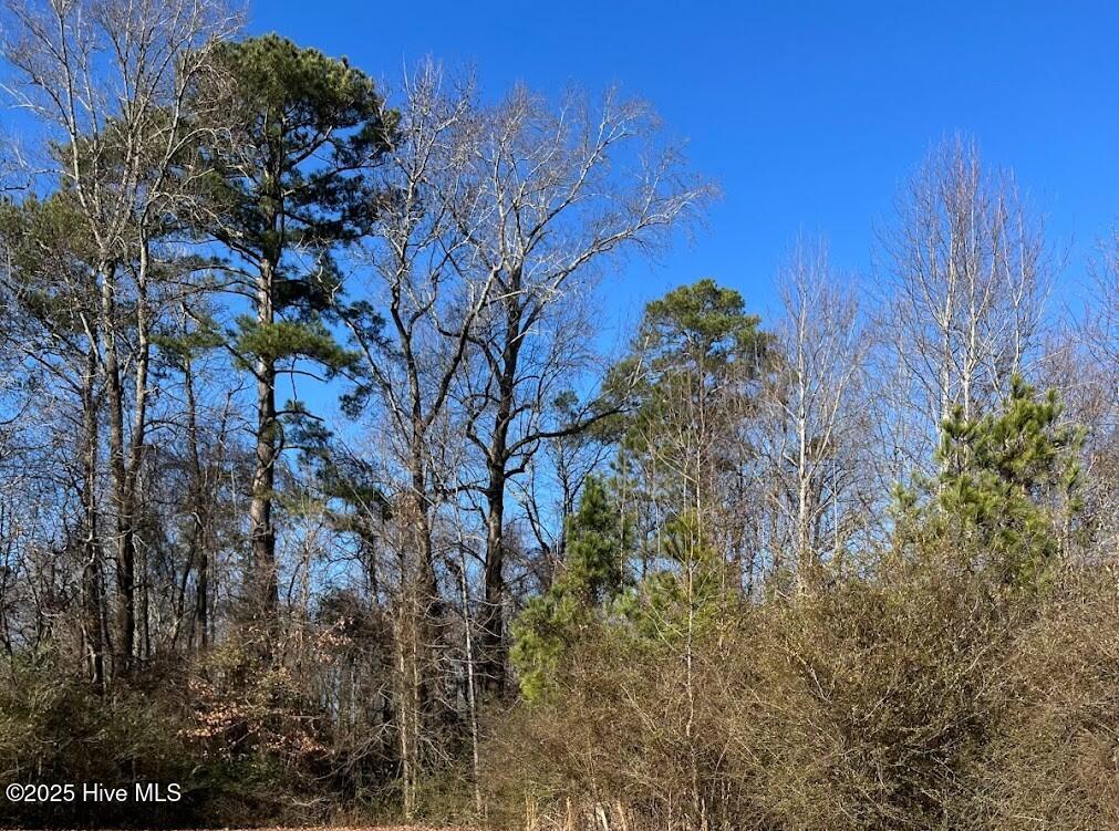 Homes for sale in Chocowinity, NC | 227 Langley Rd, Chocowinity, NC 27817 | MLS# 100546184