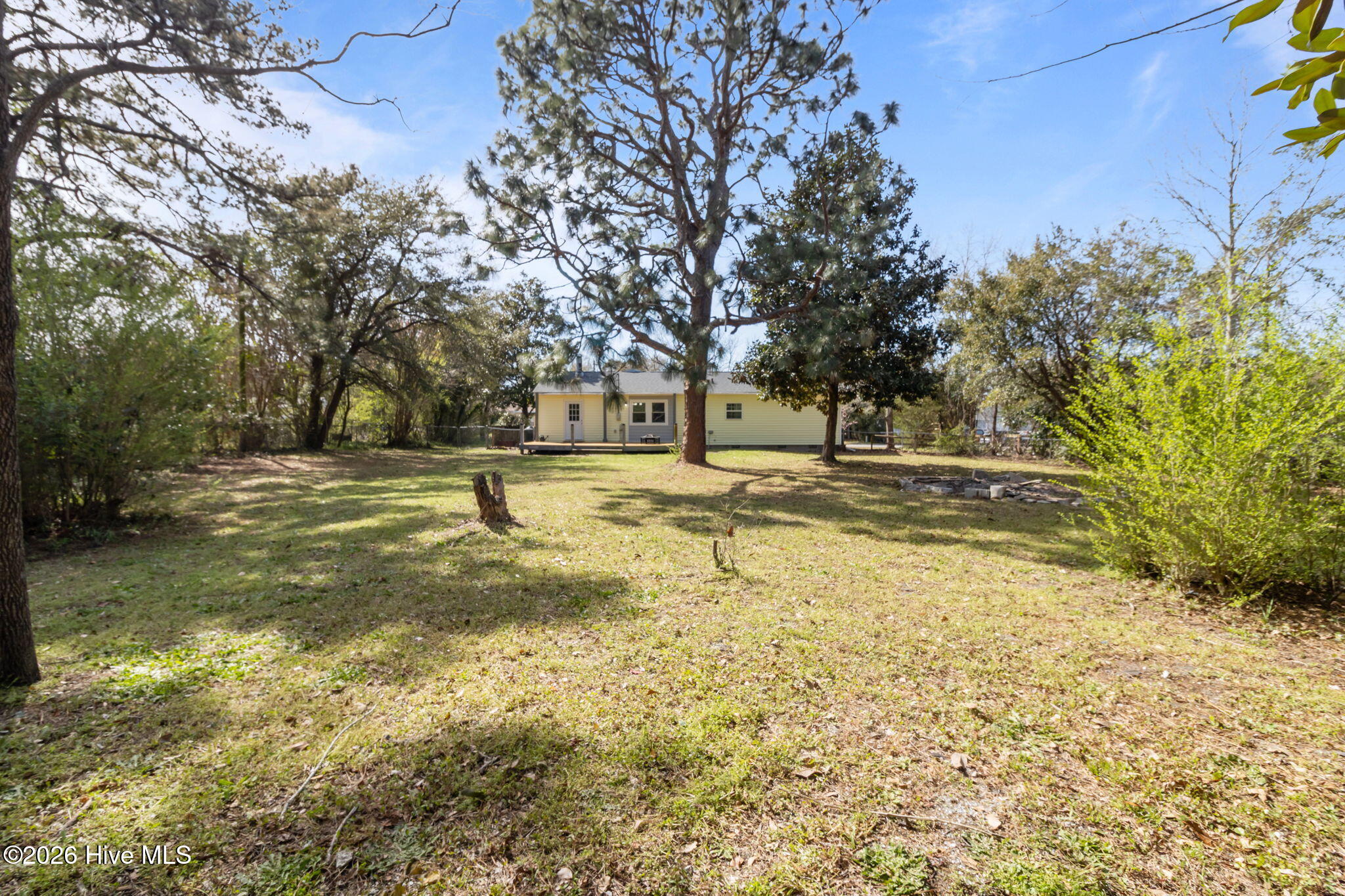 100561456 | Photo 28