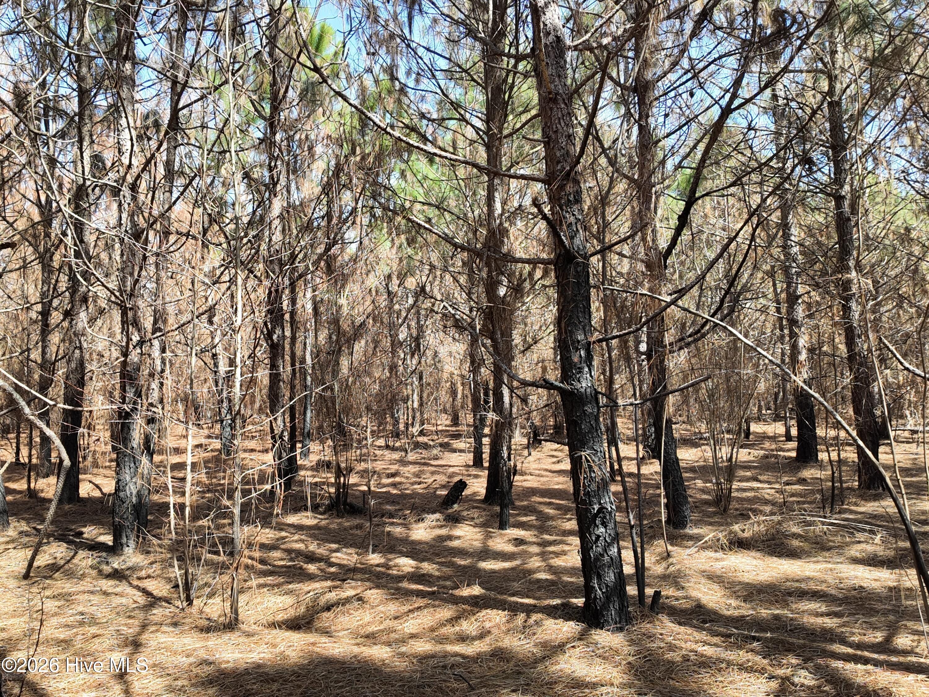 100560557 | Photo 27