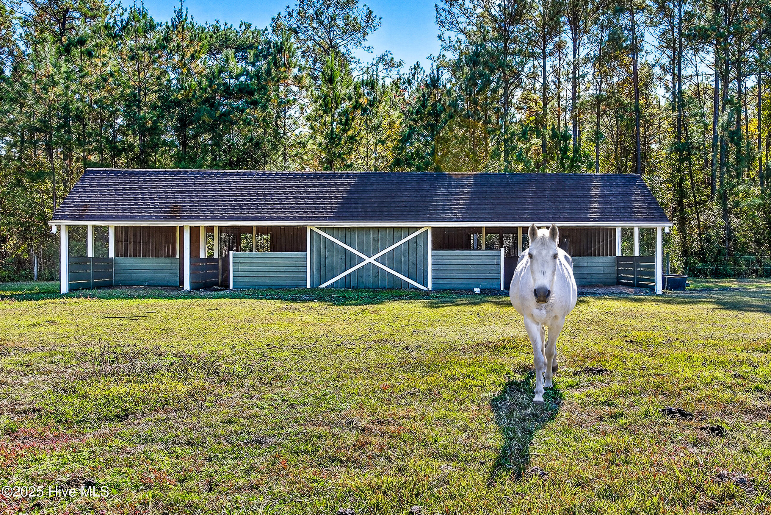 100540143 | Photo 41