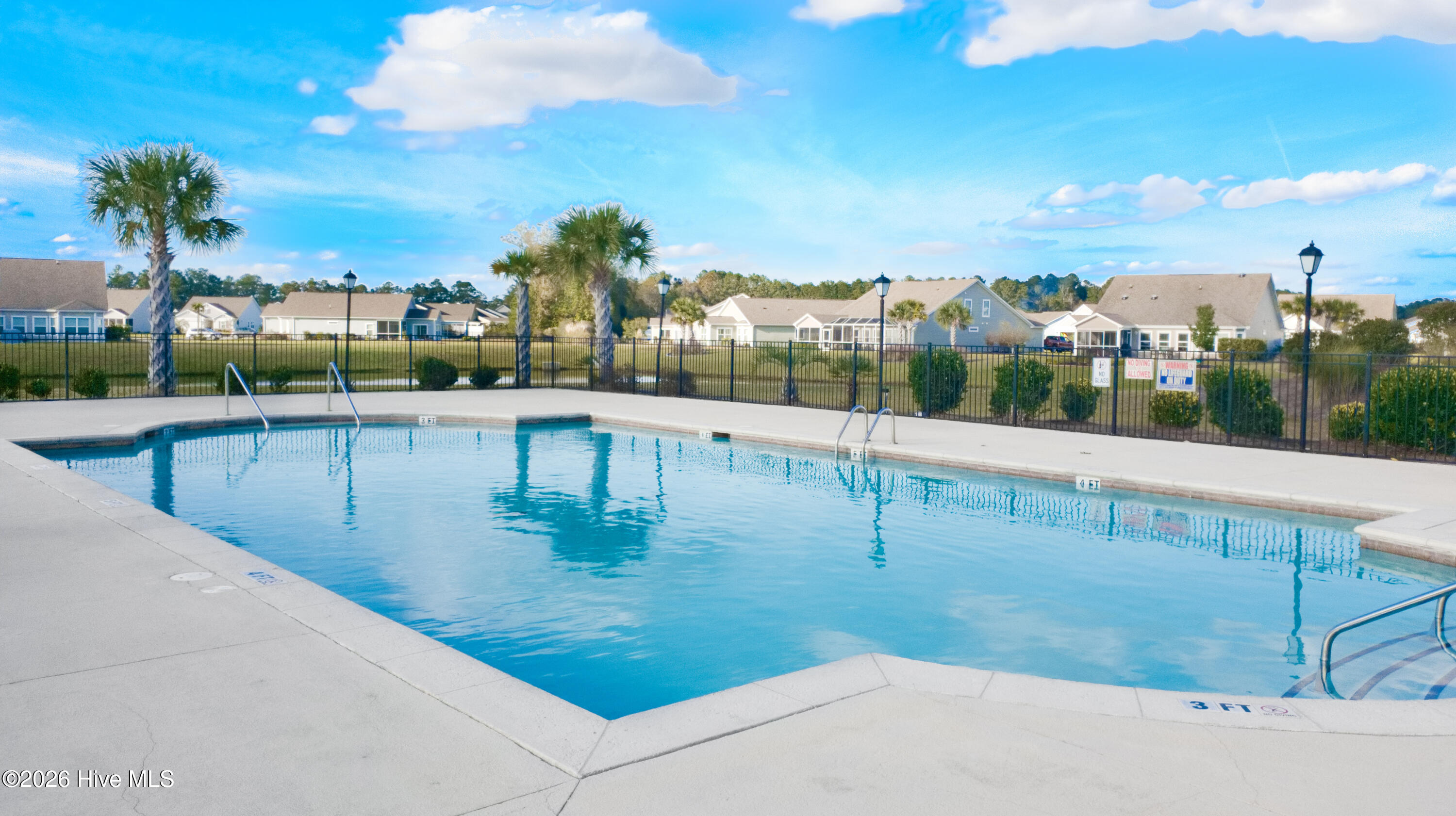 100569889 | Photo 53