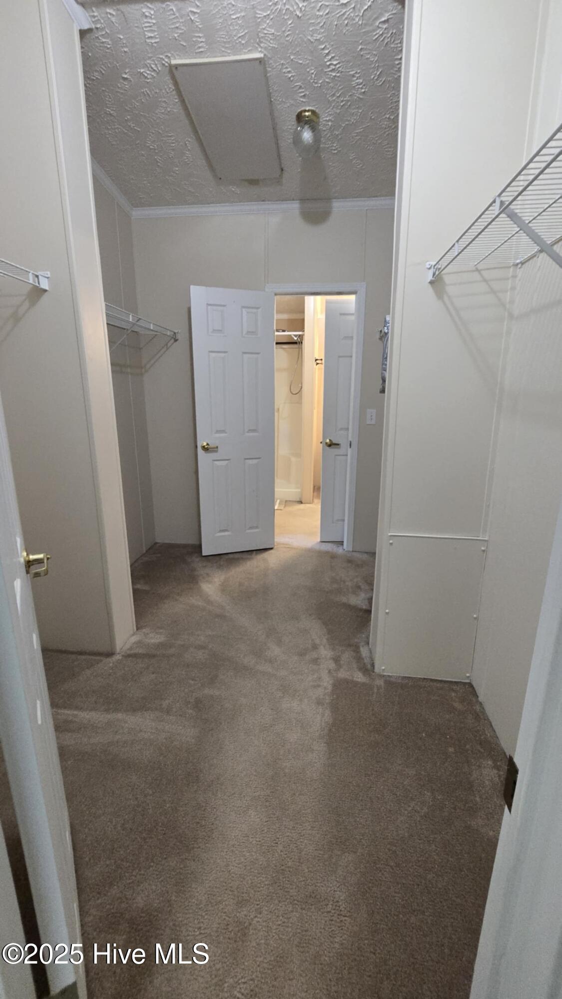 100522277 | Photo 52