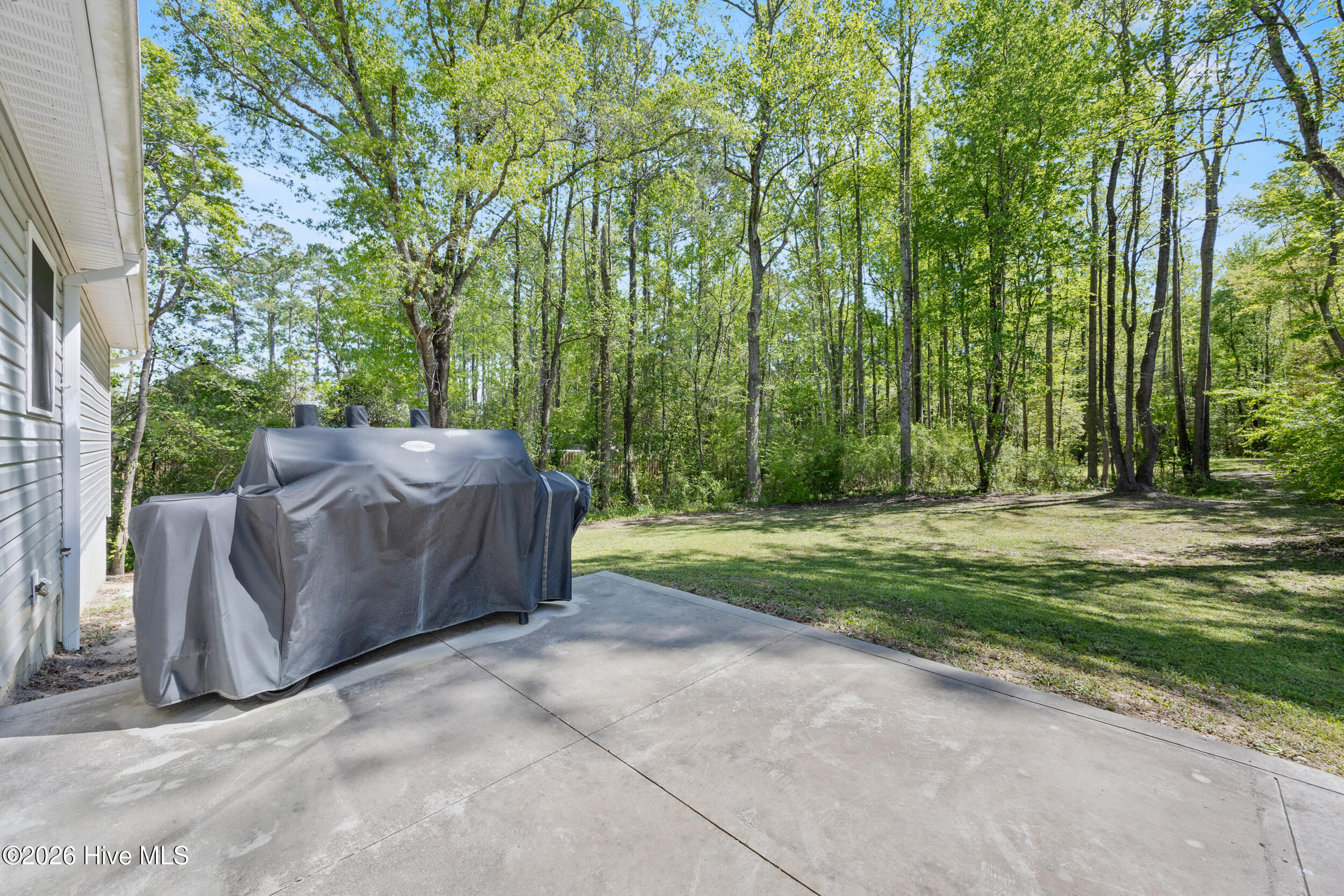 100566907 | Photo 33