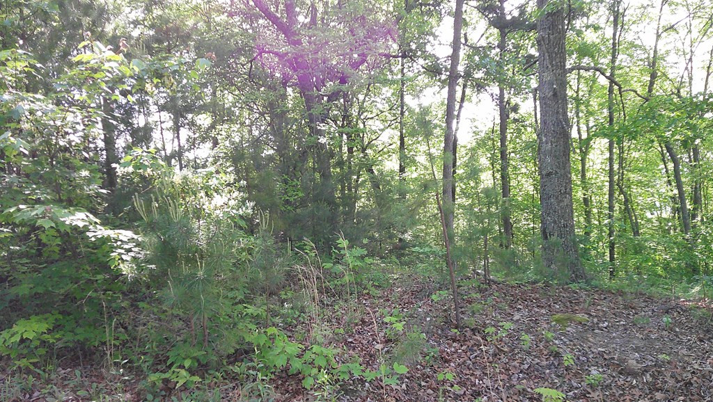 Exterior photo of 00 Fain Peak, Murphy, NC 28906. MLS: 98544497
