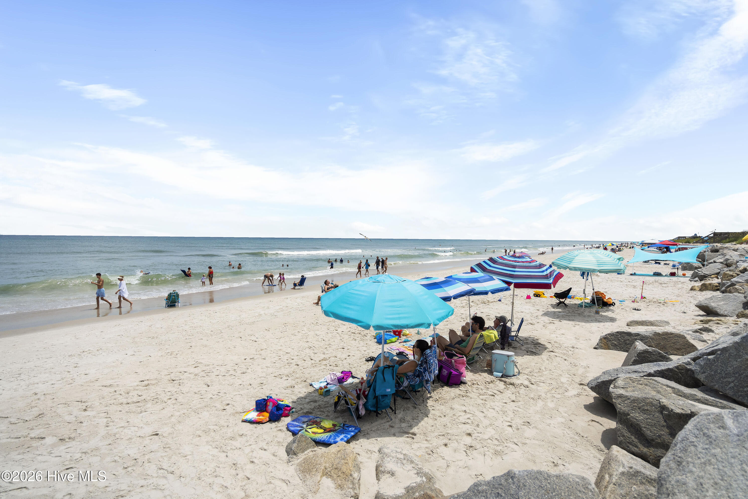 100556475 | Photo 47