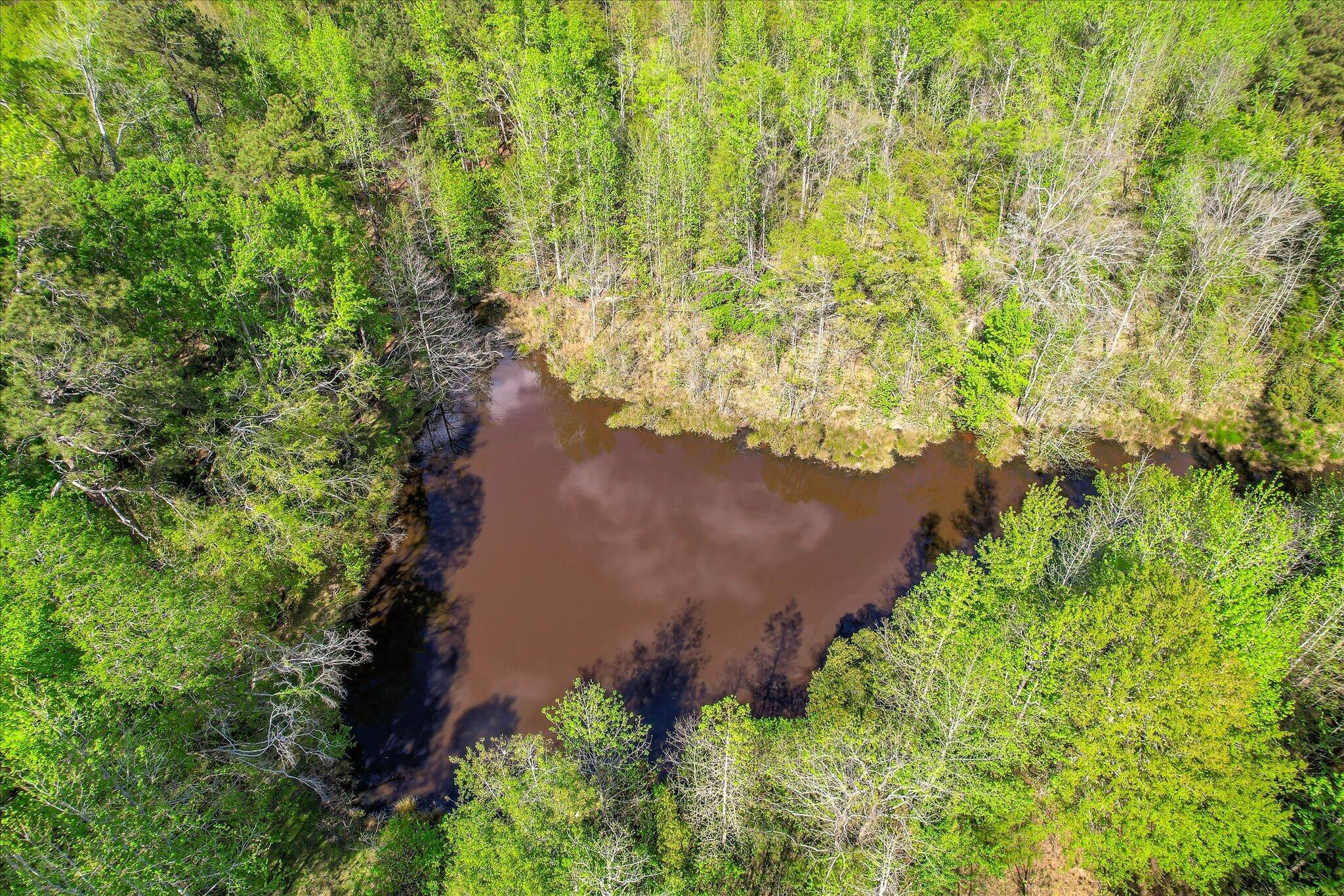 6995 Cobbham Road, Appling, GA, 30802