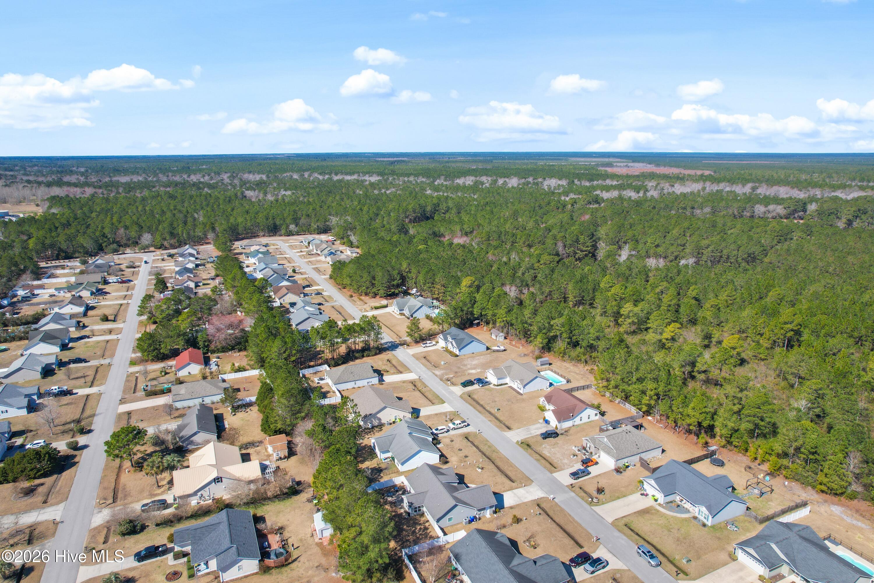 100556546 | Photo 41