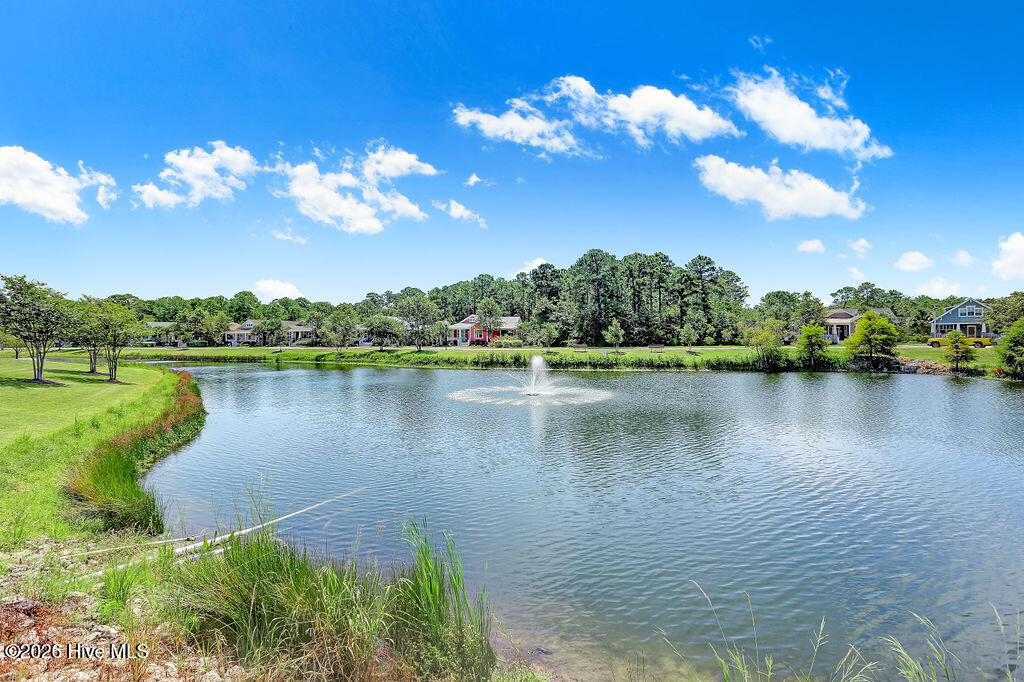 100570520 | Photo 29