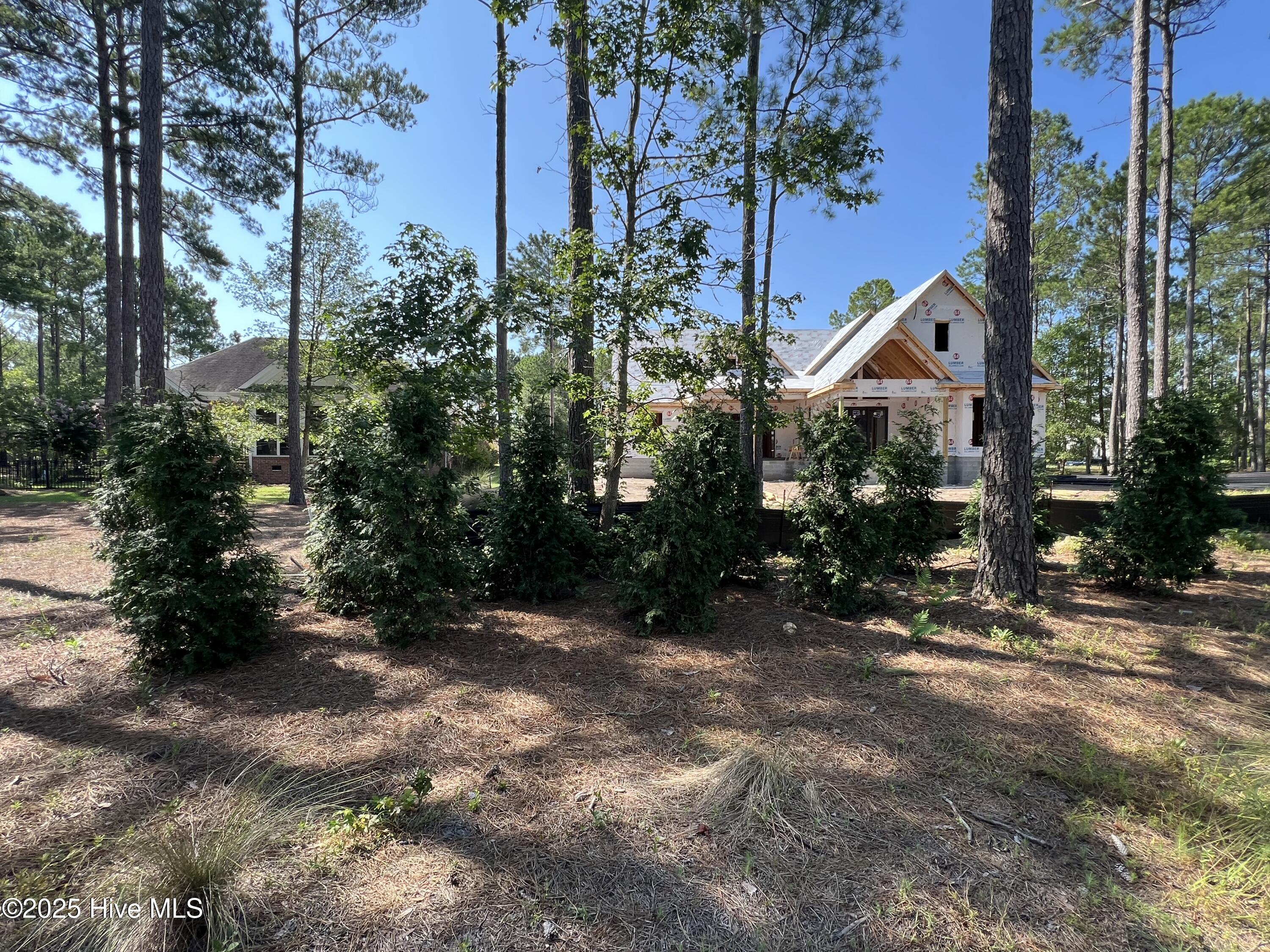 100518368 | Photo 97