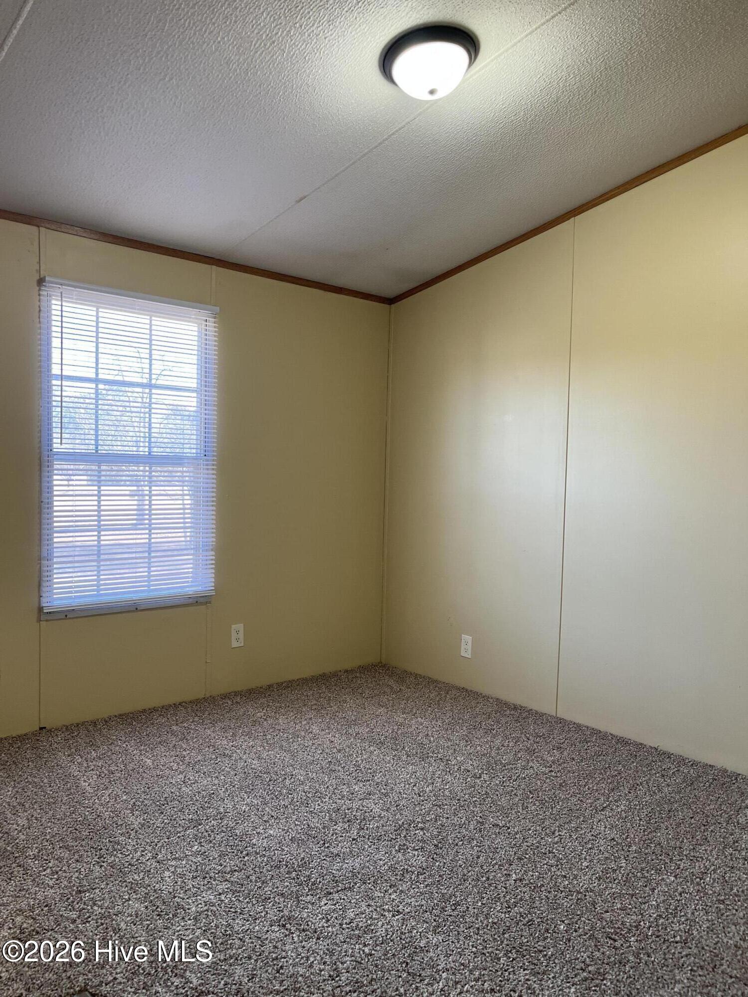 100552039 | Photo 19