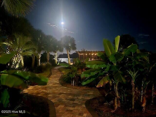 100537331 | Photo 40