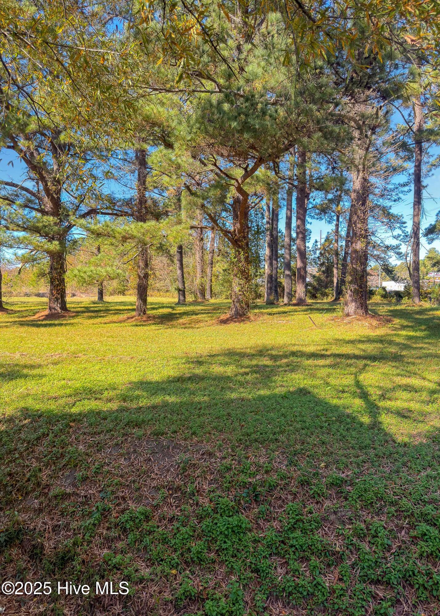 3101 Neuse Boulevard,New Bern