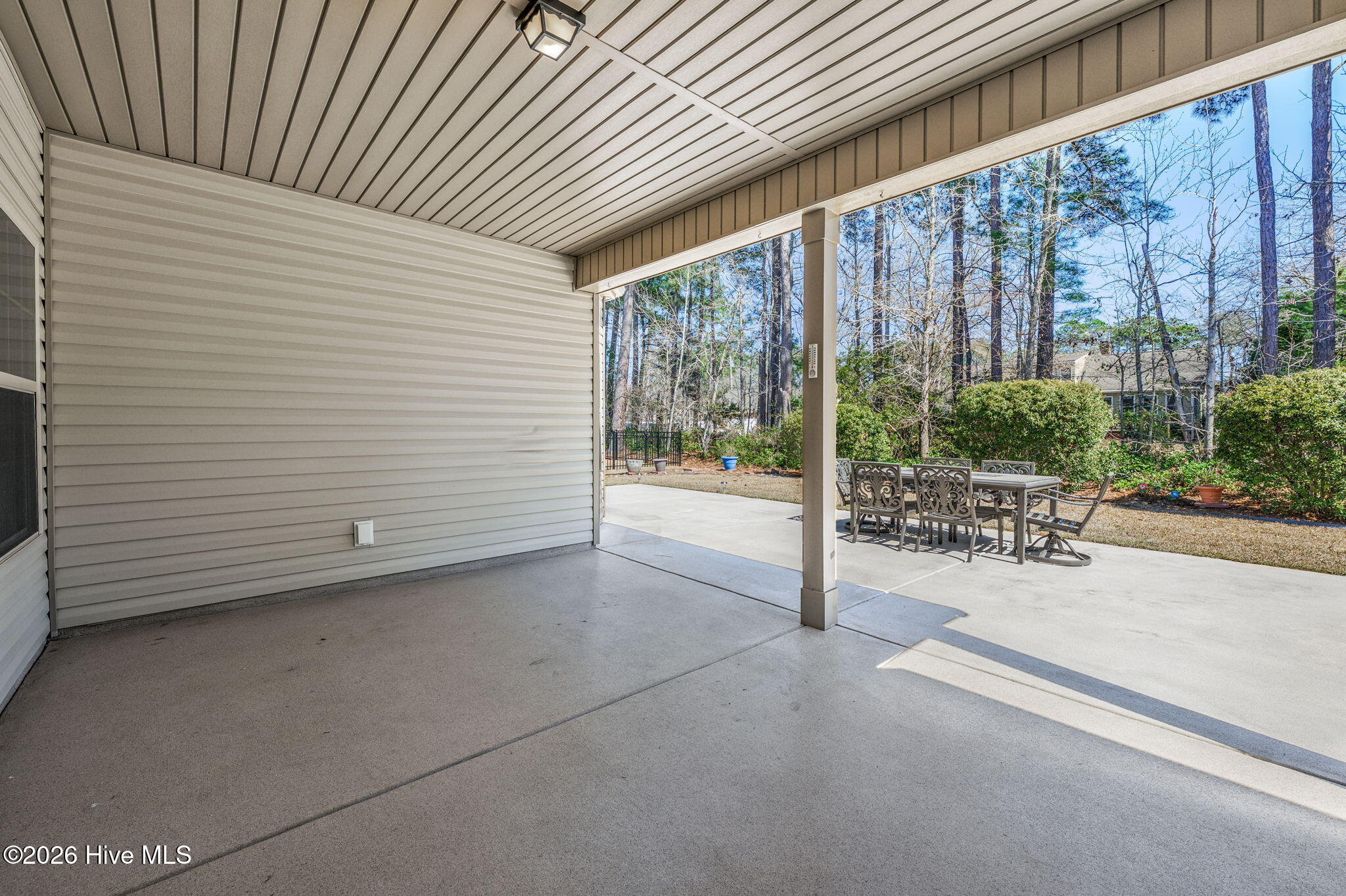 100559245 | Photo 23