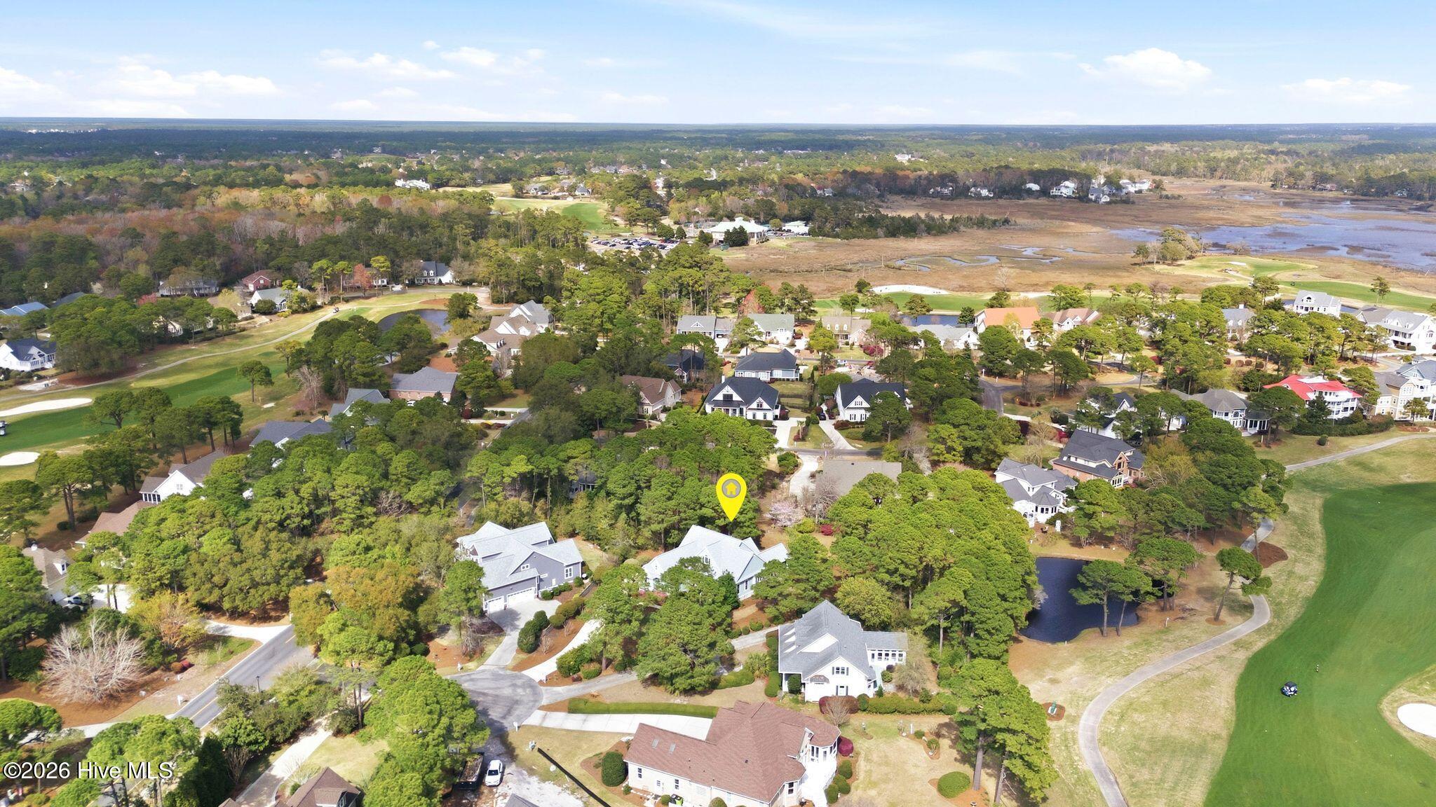 100564231 | Photo 80