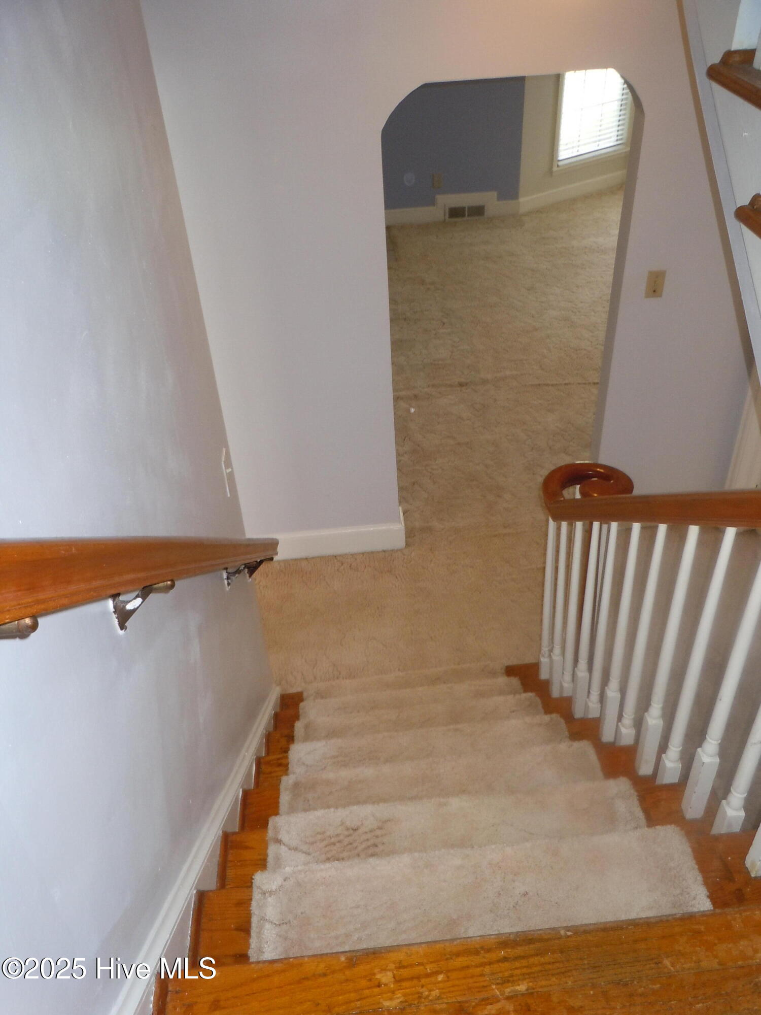 100536293 | Photo 54