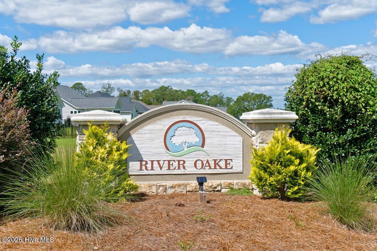 100562349 | Photo 38