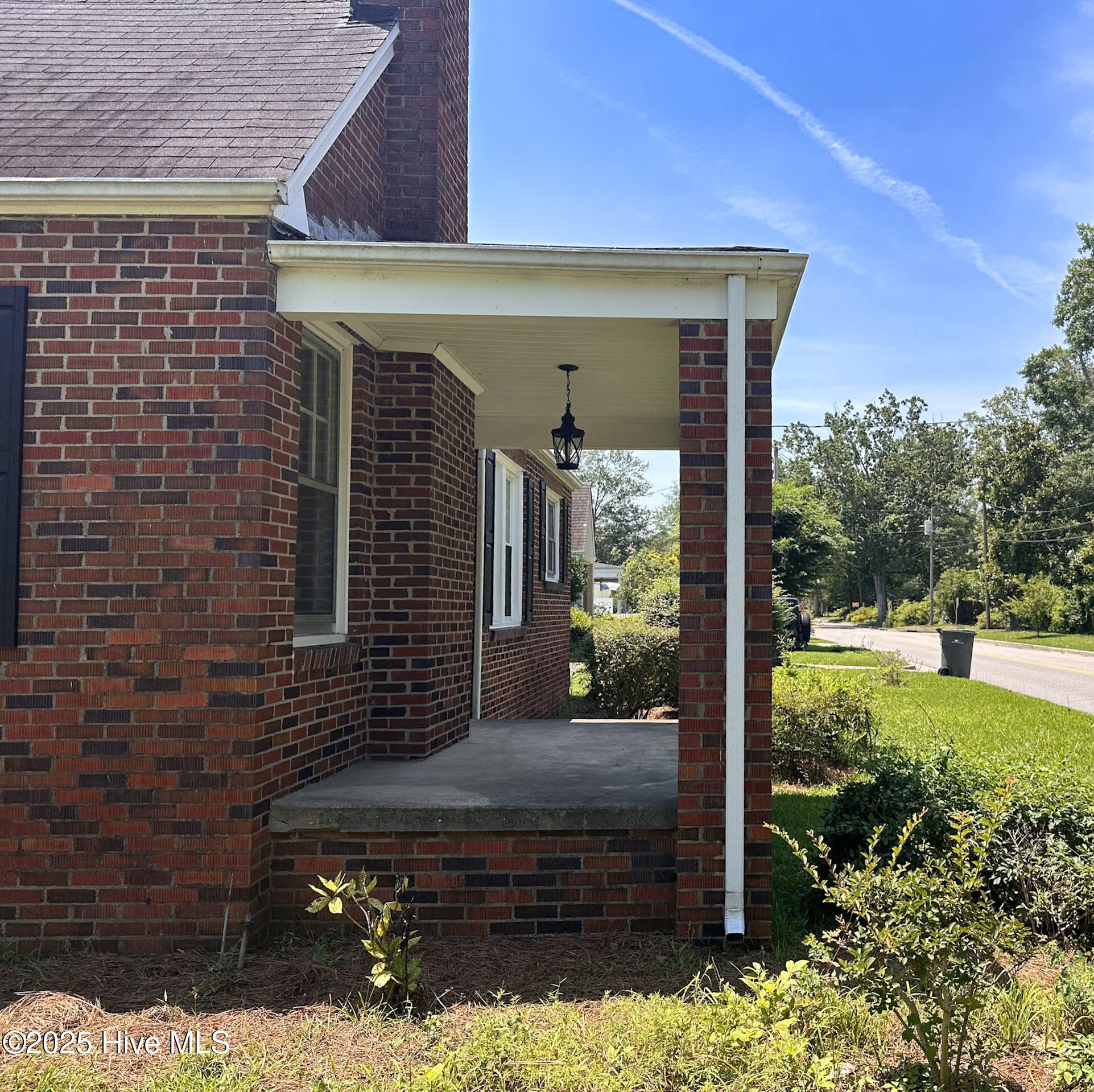 100515338 | Photo 23