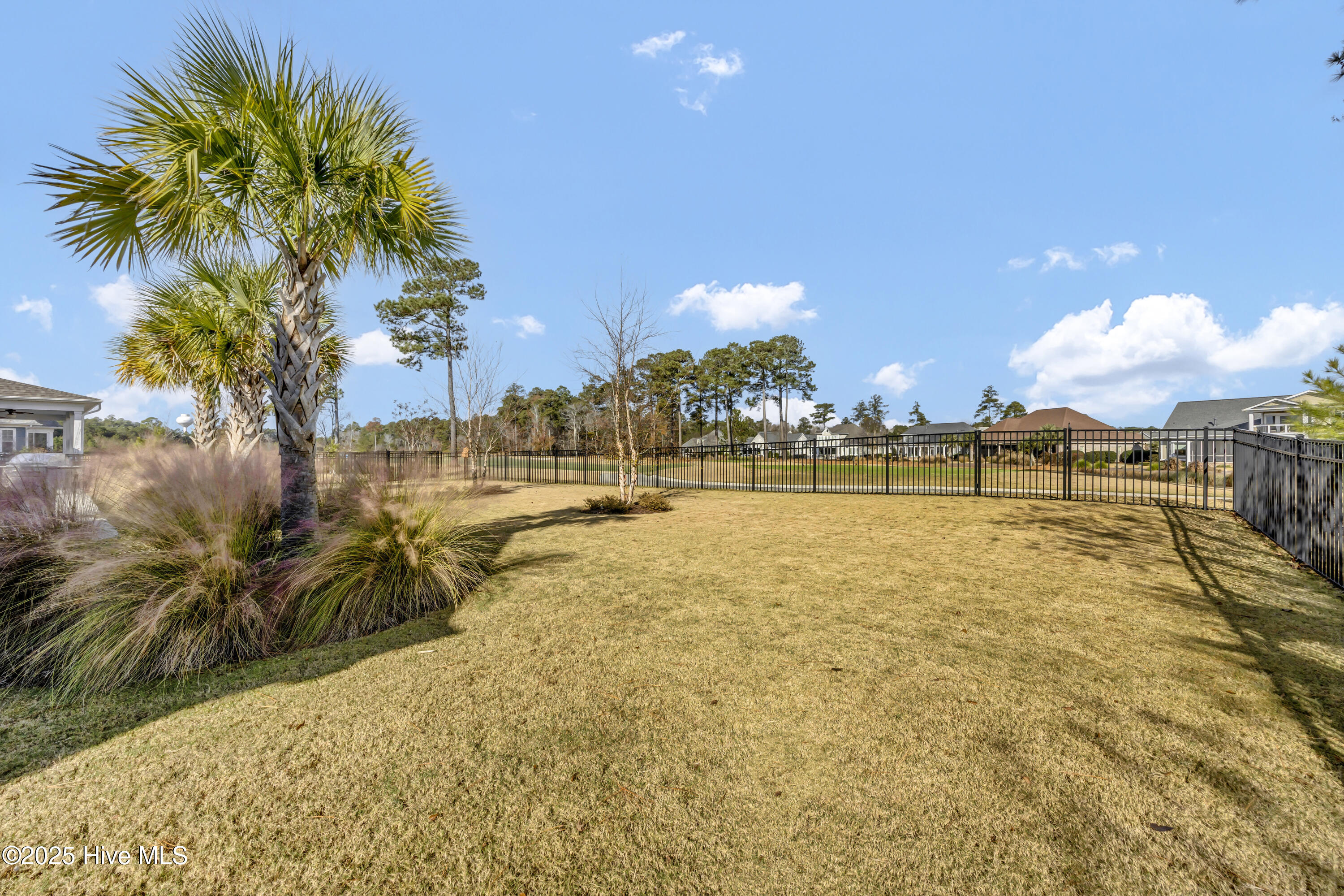 100546758 | Photo 51