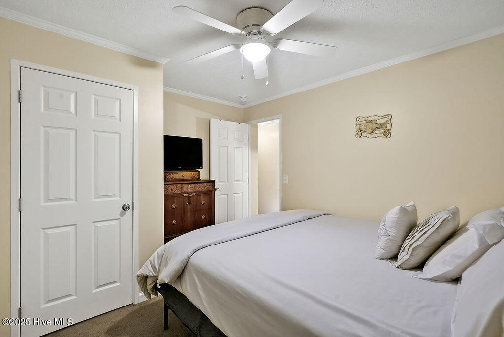 100521494 | Photo 38