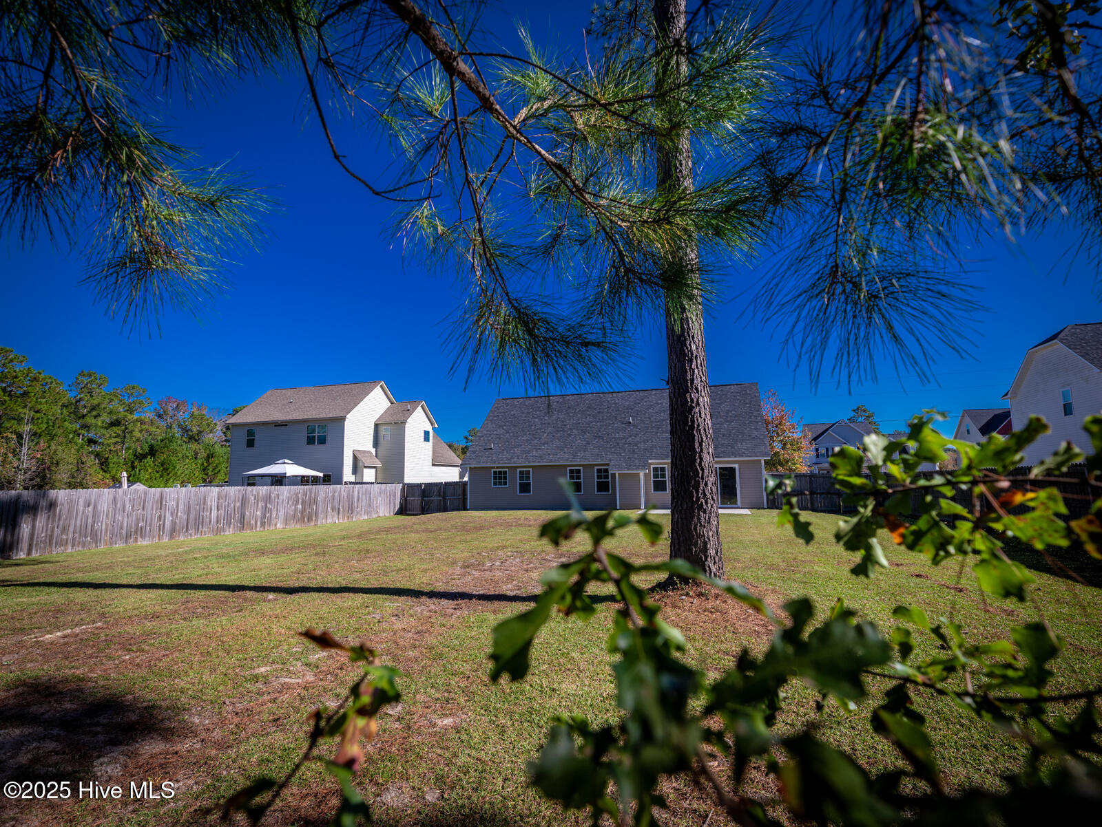 100539425 | Photo 33