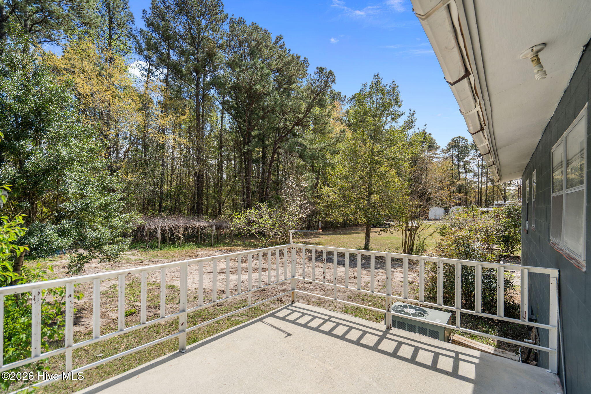 100563221 | Photo 15