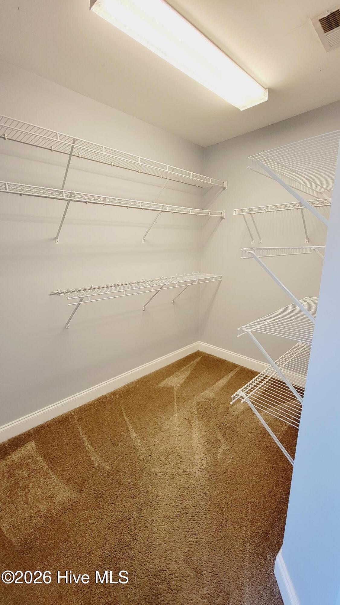 100569507 | Photo 23