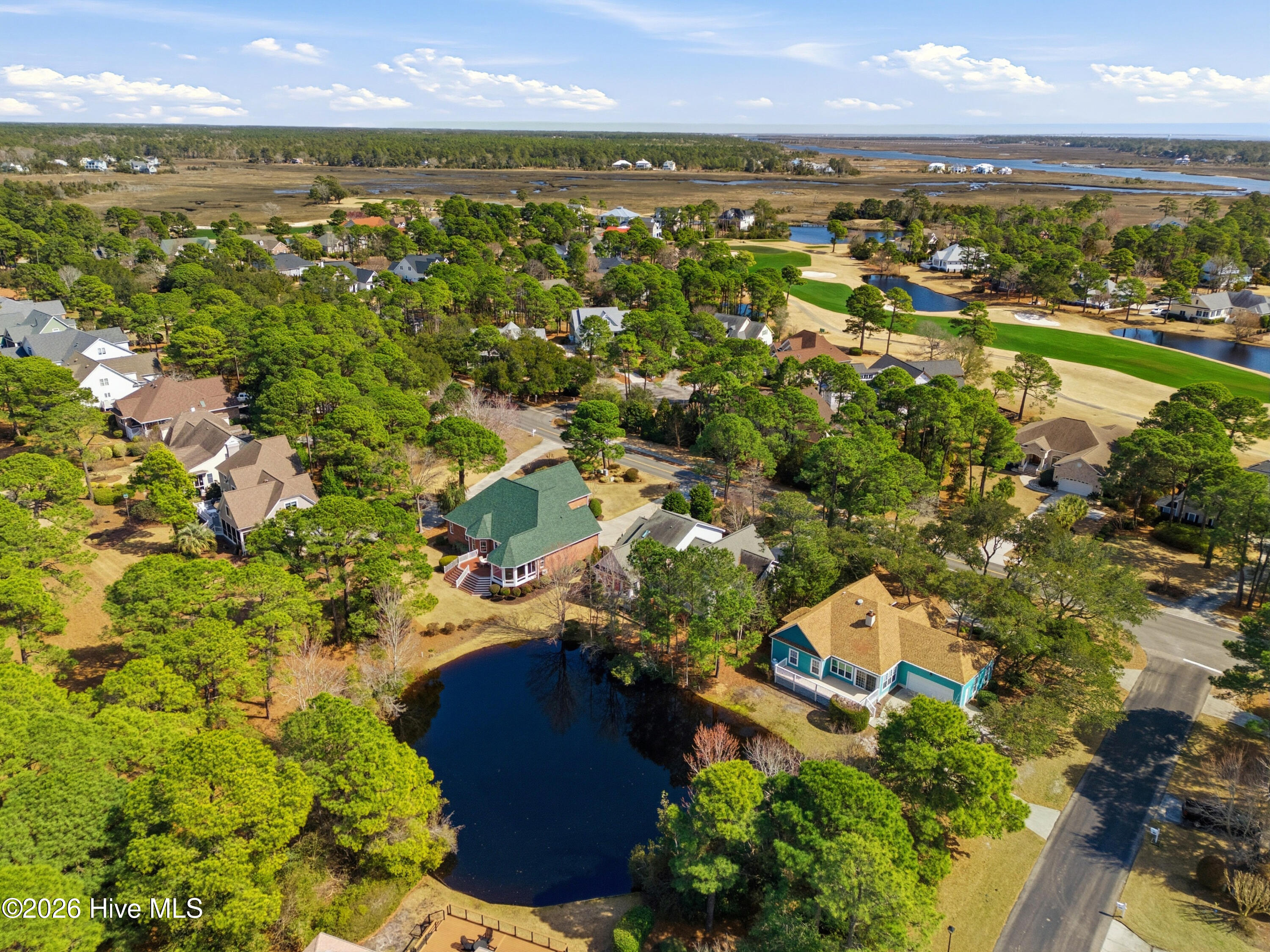 100558139 | Photo 63