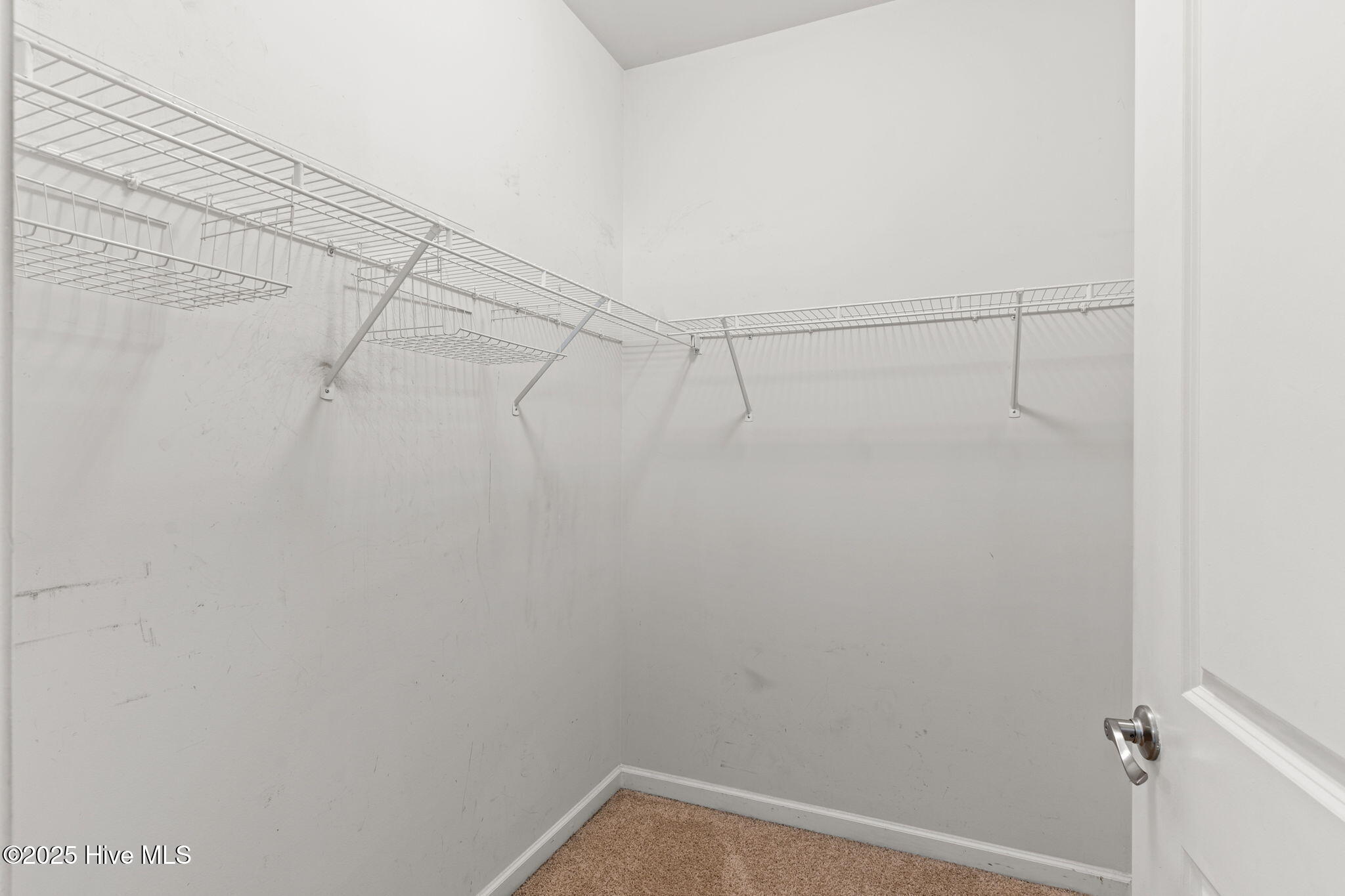 100538184 | Photo 24