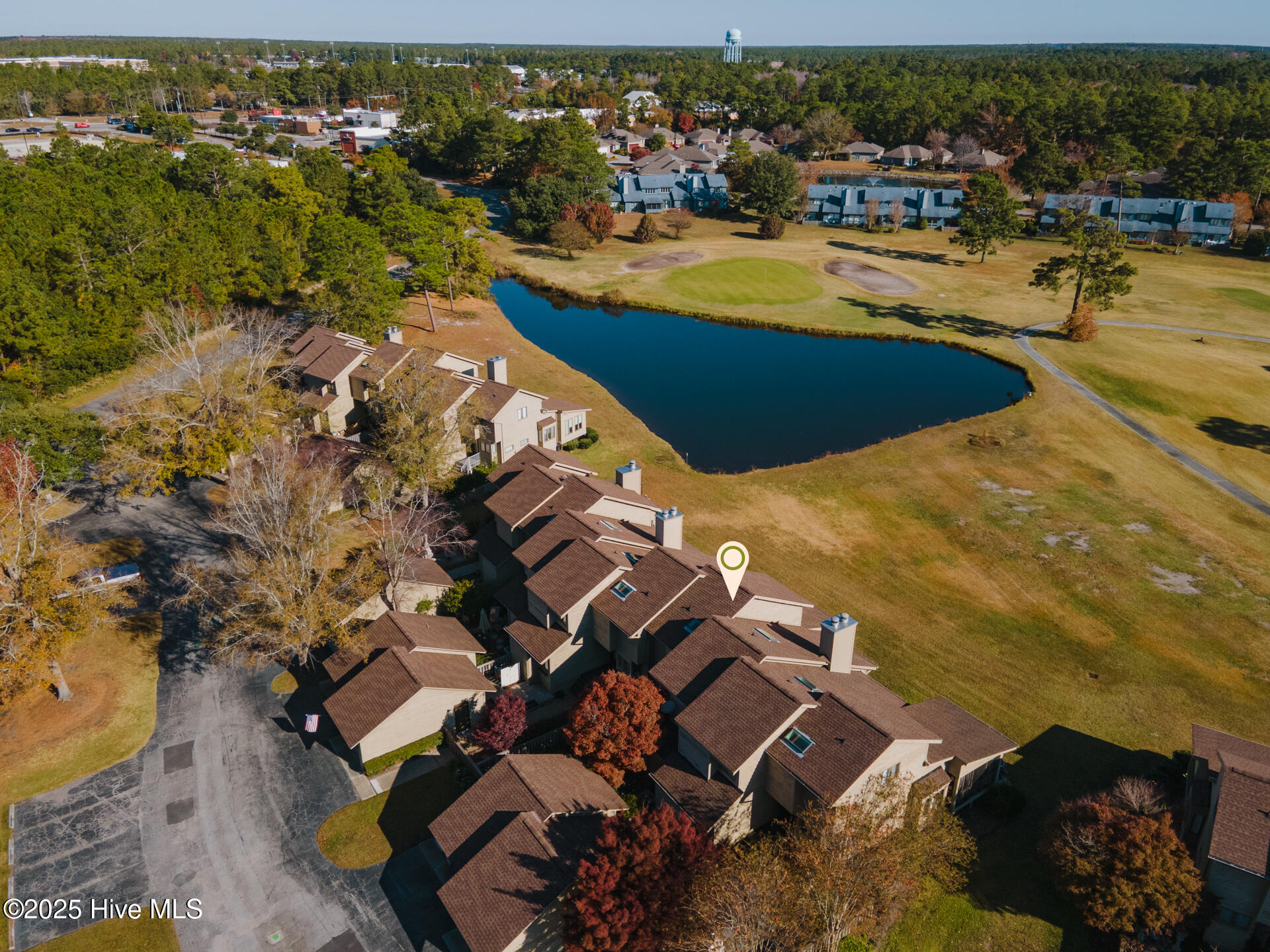 100526390 | Photo 62