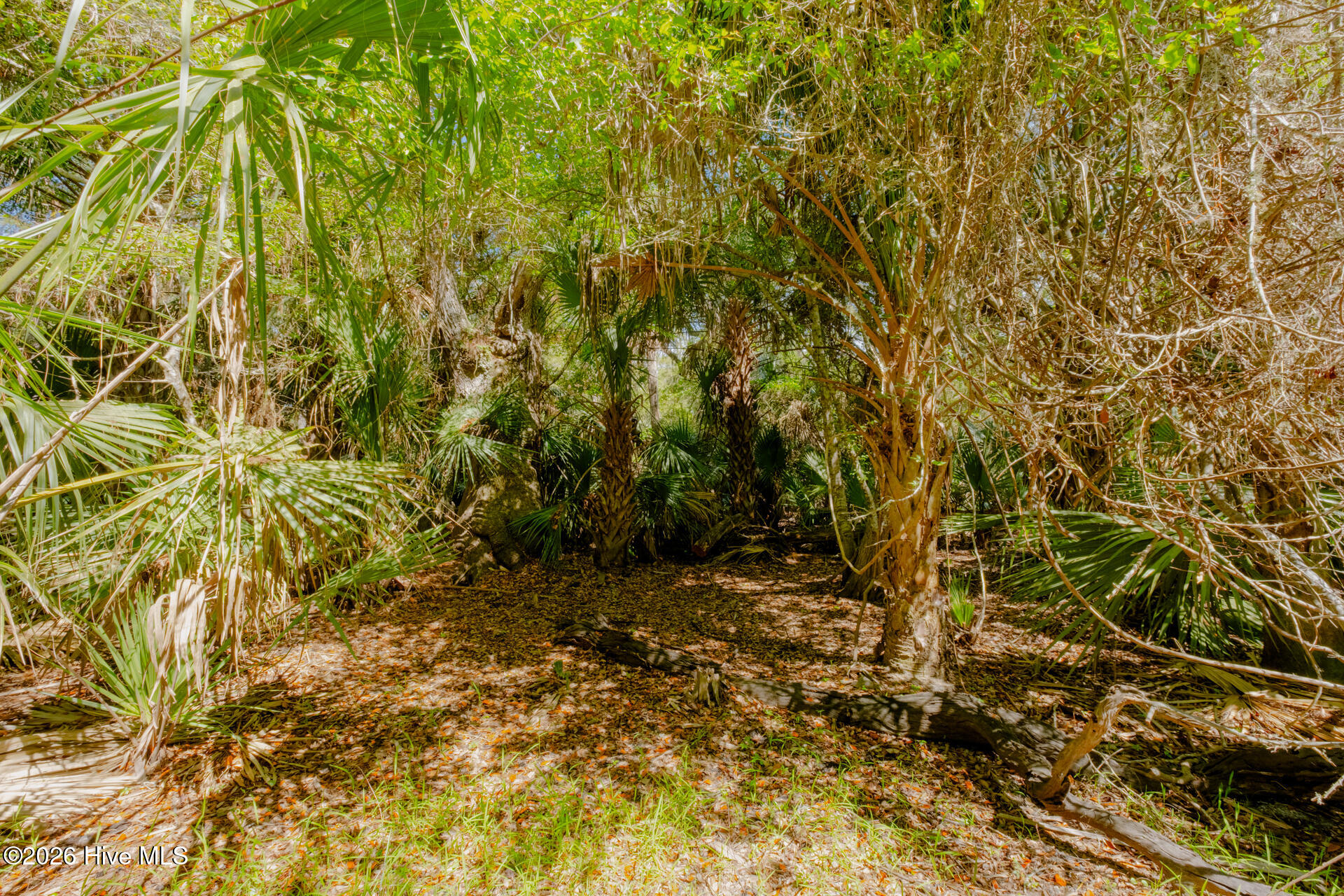 100573026 | Photo 5