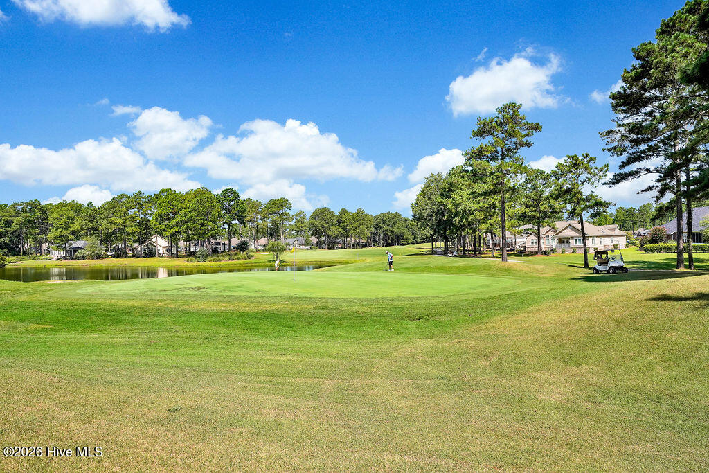 100567236 | Photo 24