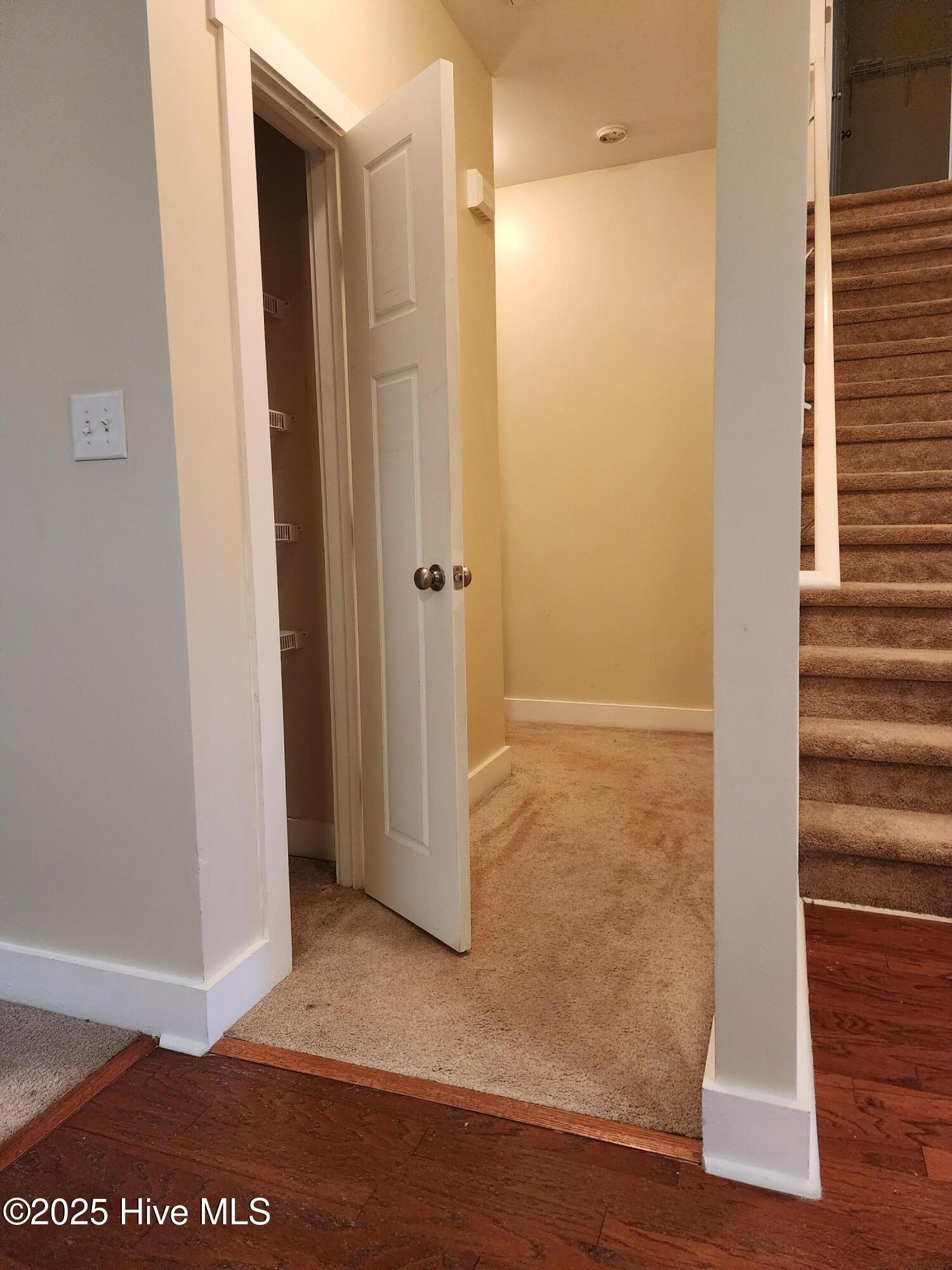 100569156 | Photo 19