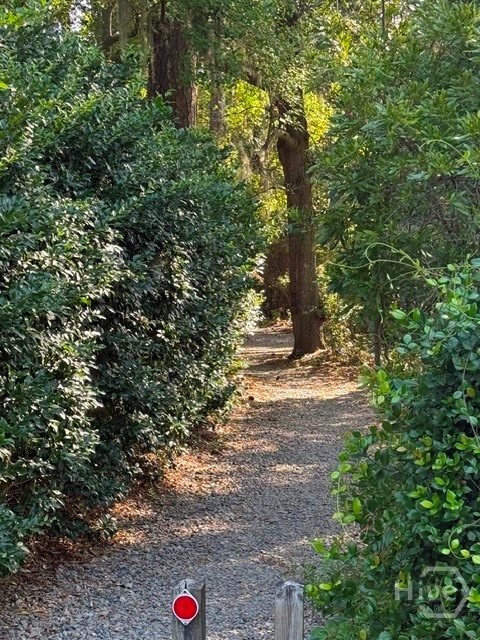 Pathway directly to community pool & dock
