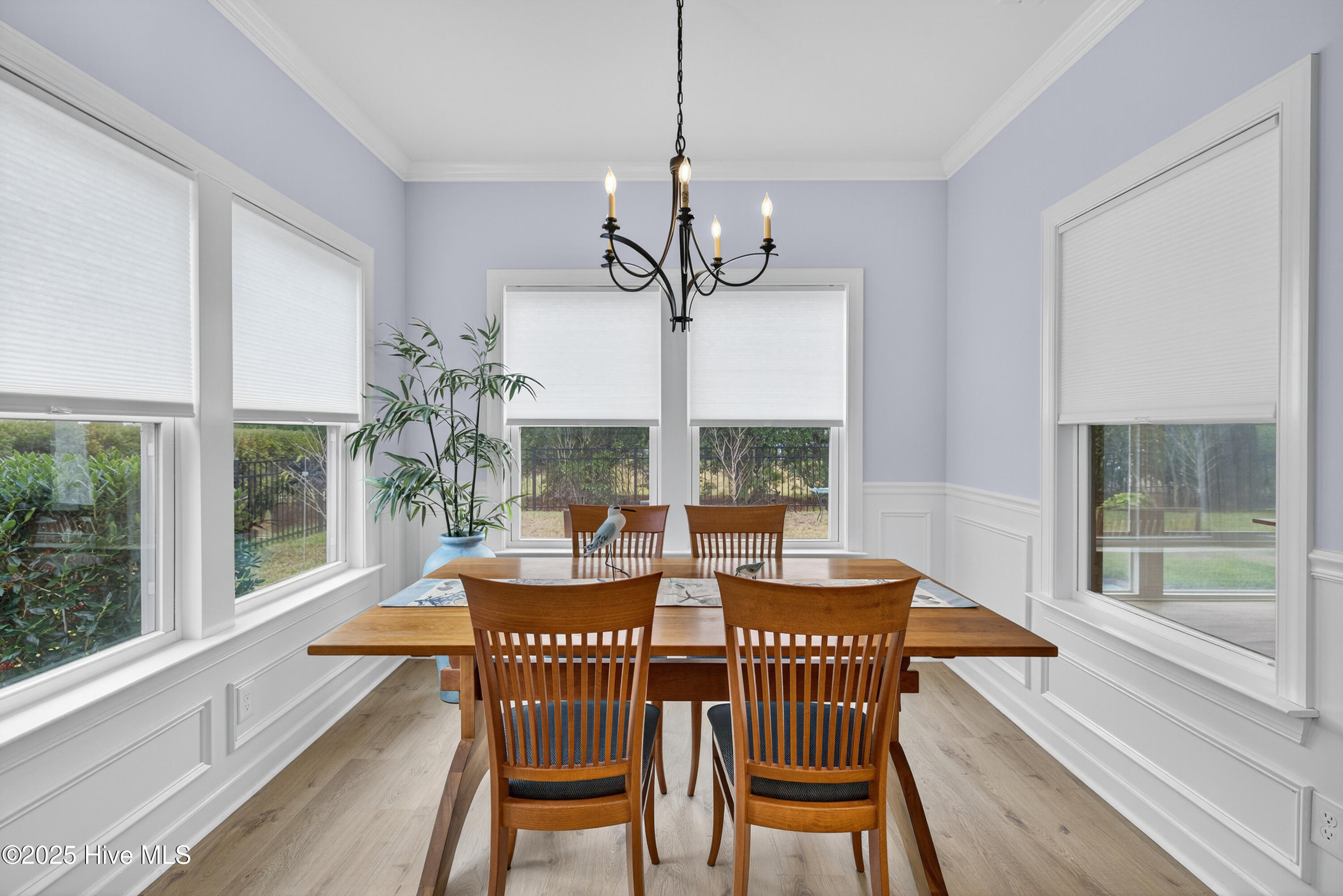 100537739 | Photo 16