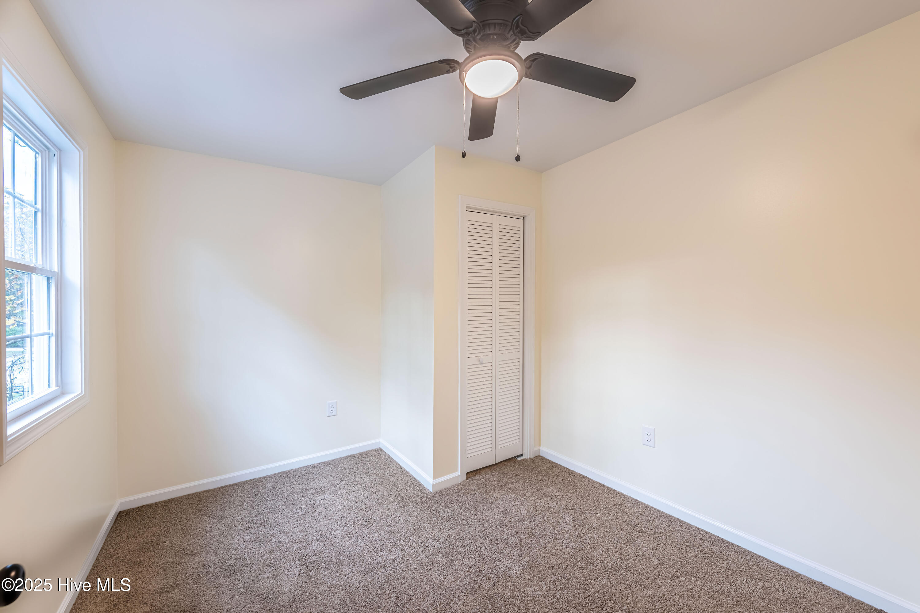 100538278 | Photo 35