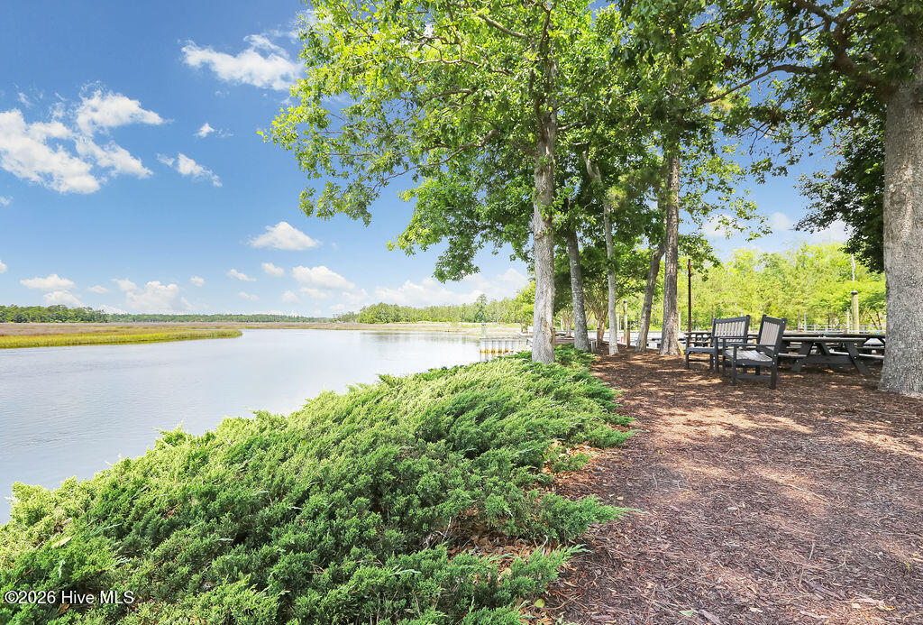 100560858 | Photo 83