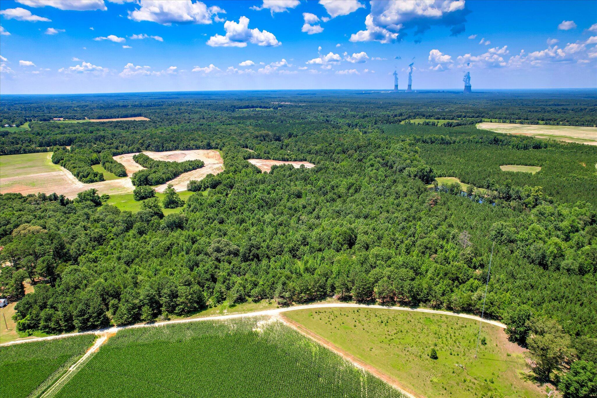 Homes for sale in Girard, GA | 0 Smith Chapel Rd, Girard, GA 30426 | MLS# 543848