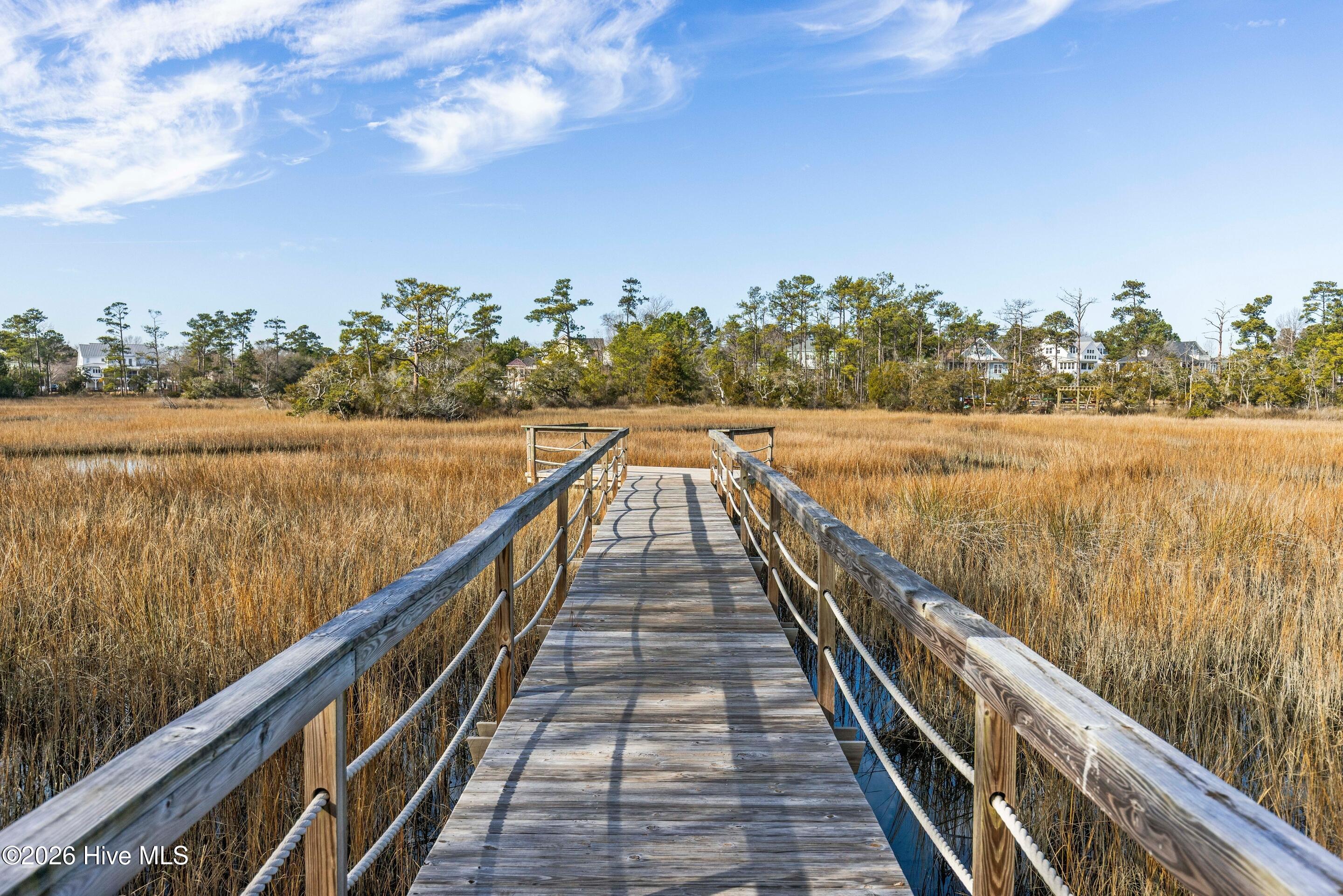 100546830 | Photo 97