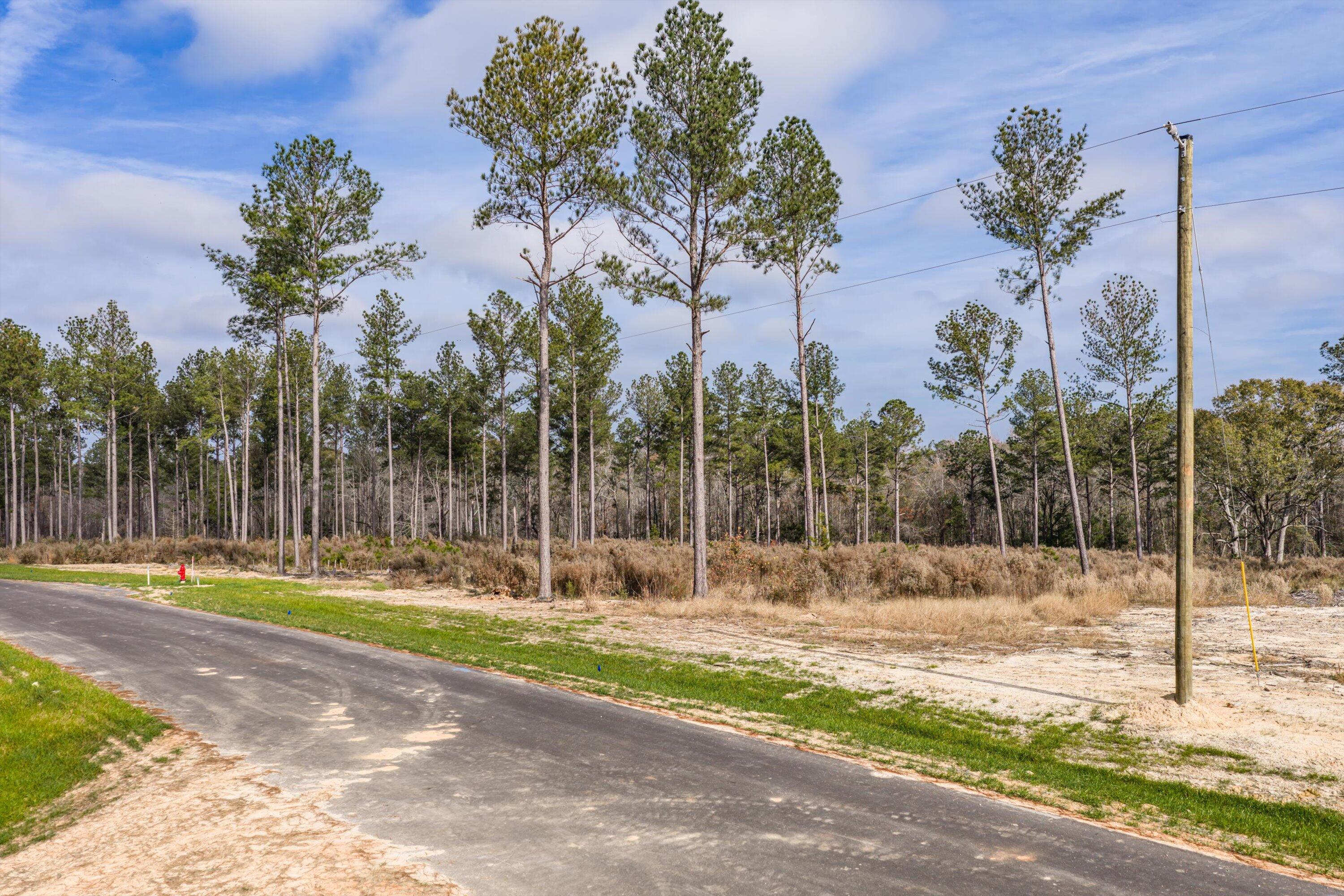 135 Beagle Chase Drive, Appling, GA, 30802