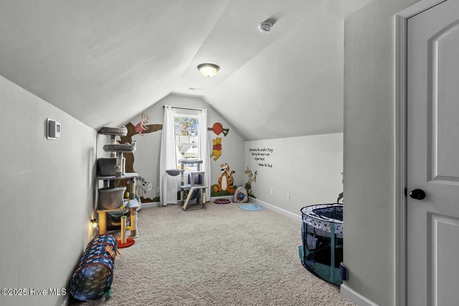 100545268 | Photo 26