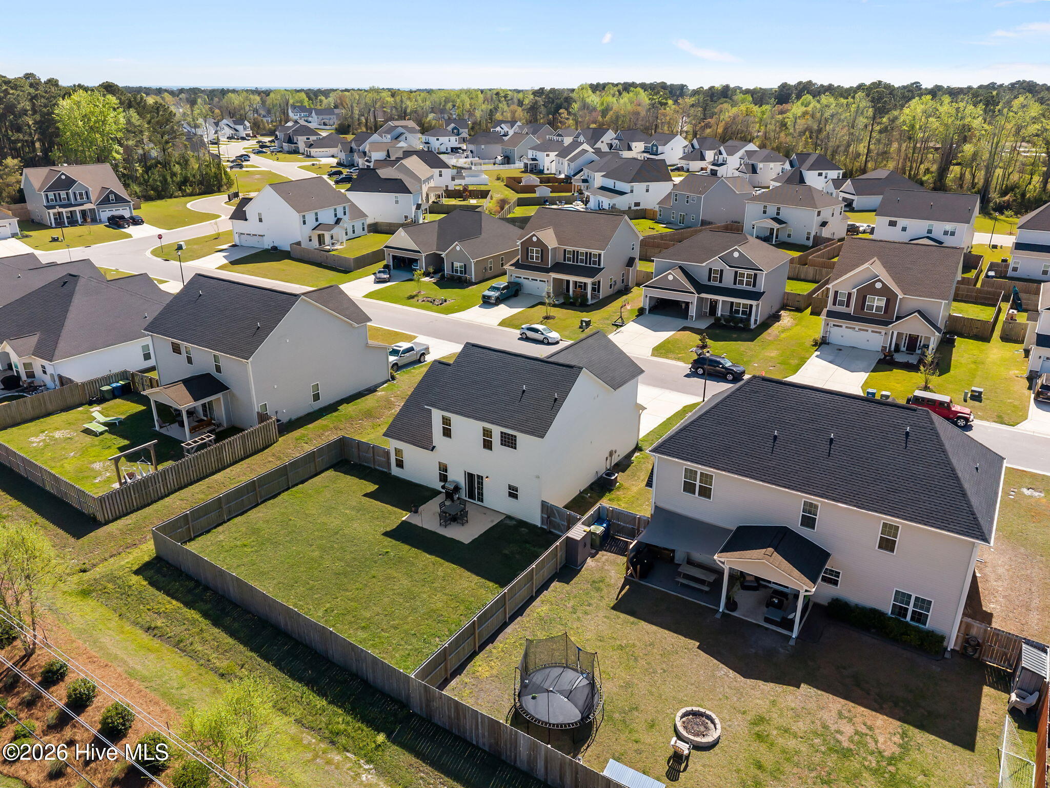 100564865 | Photo 46