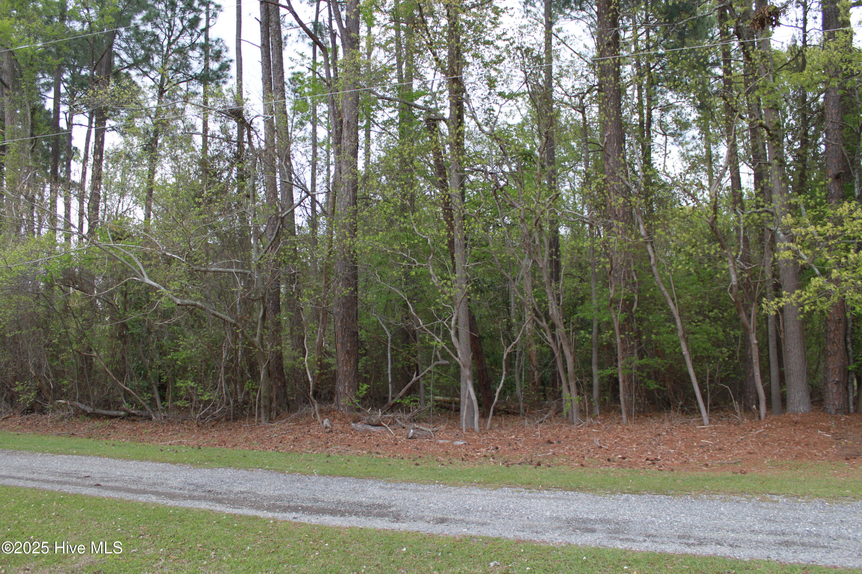Featured listings