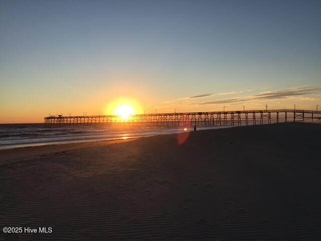 100557908 | Photo 19