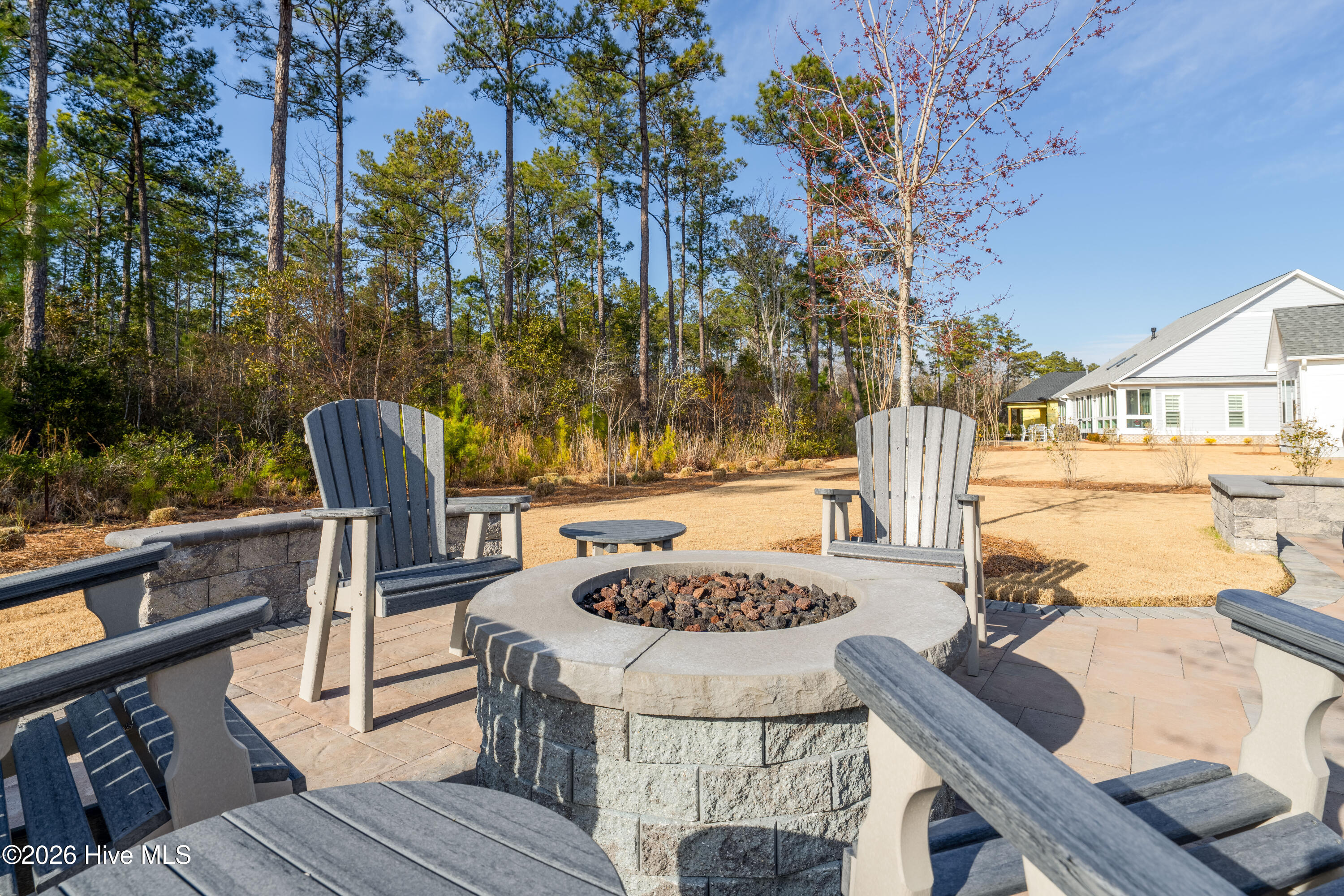 100553461 | Photo 44