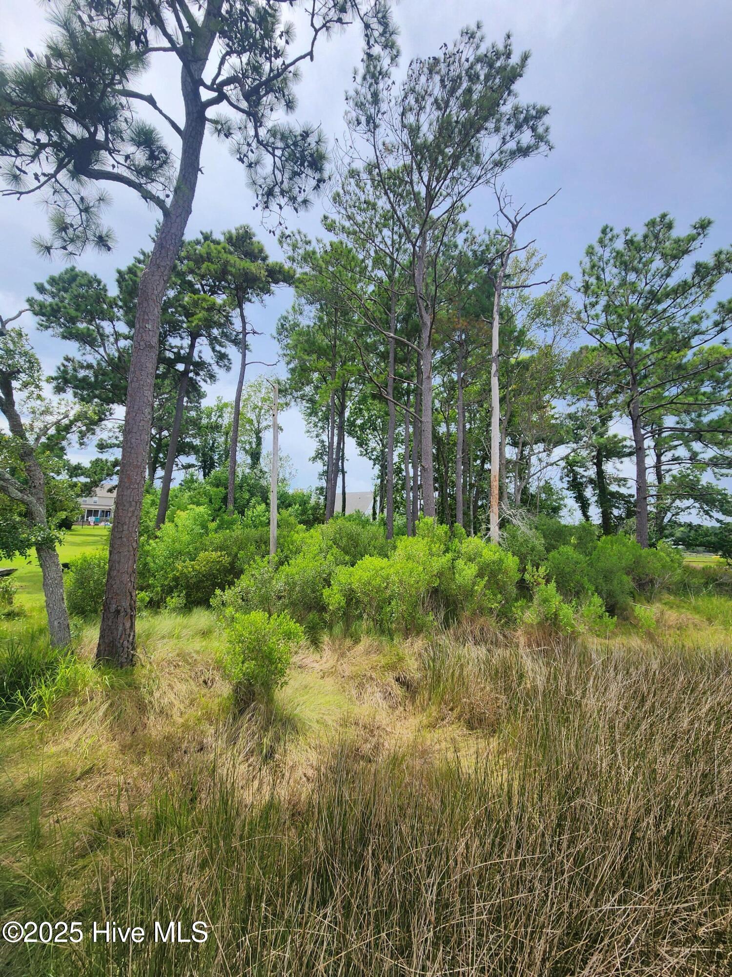 100519518 | Photo 11