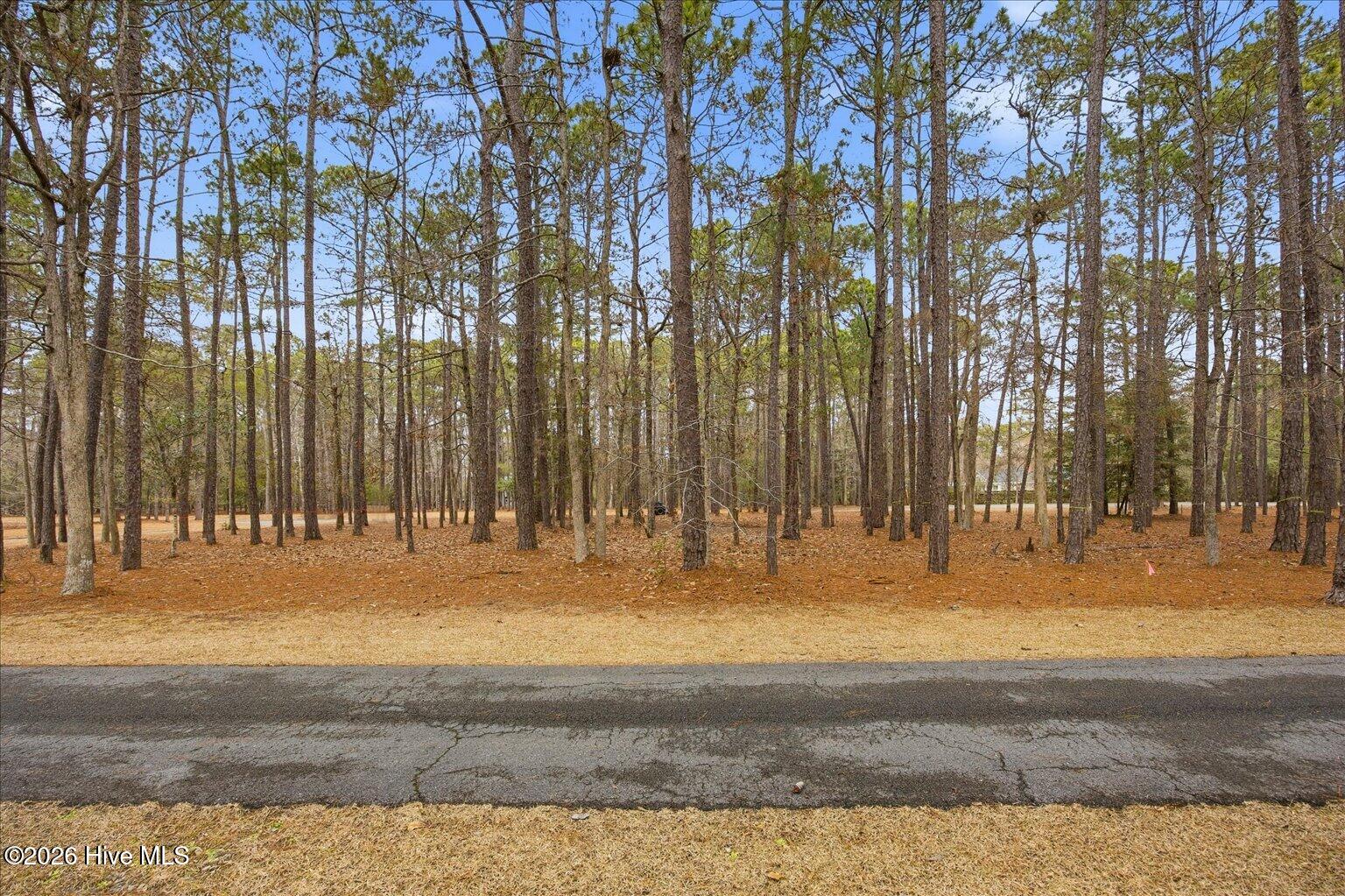 100555112 | Photo 52