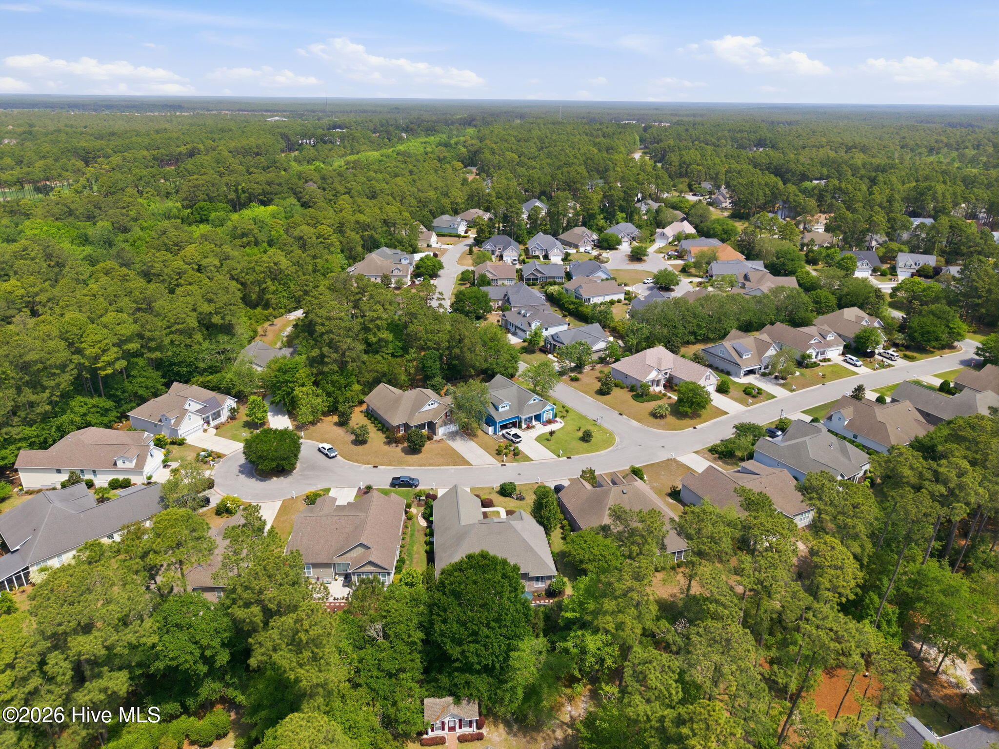 100569602 | Photo 54