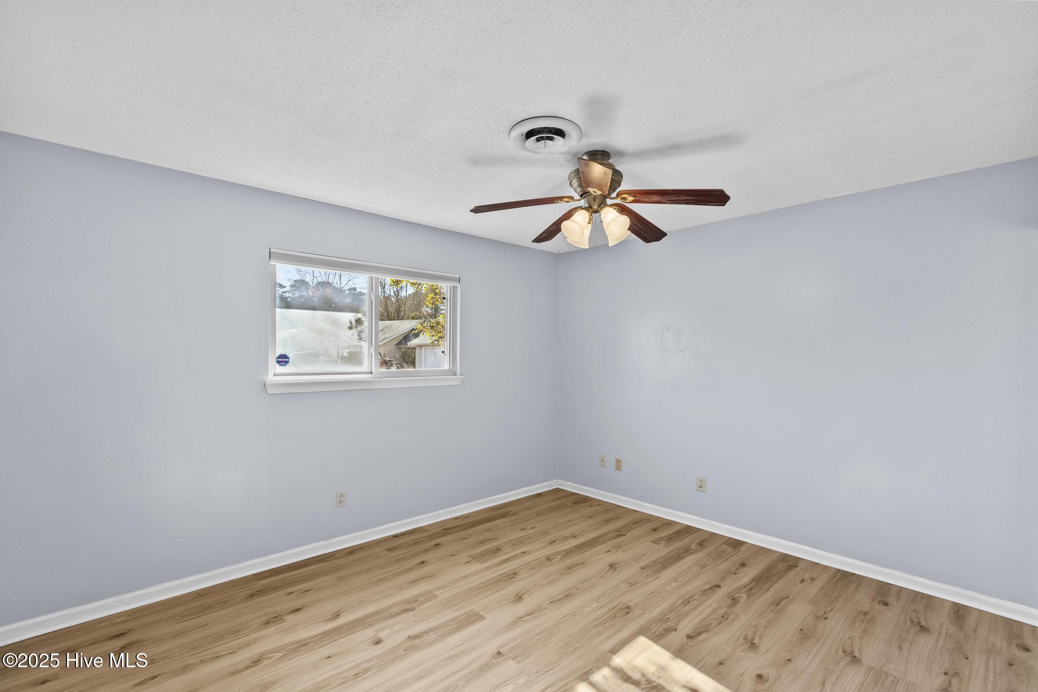 100546542 | Photo 12